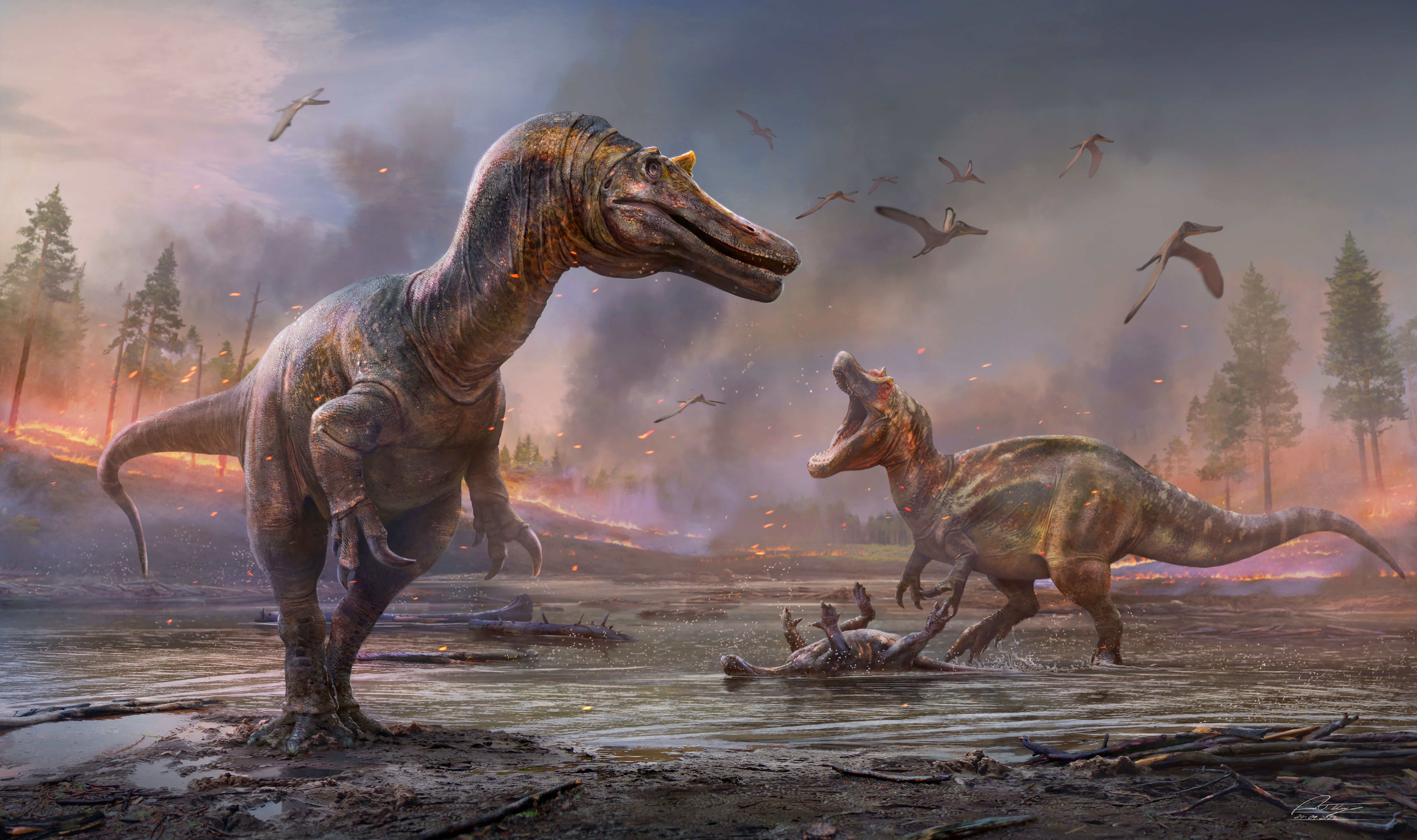 Meat-eating dinosaurs are seen in an undated artist's rendition