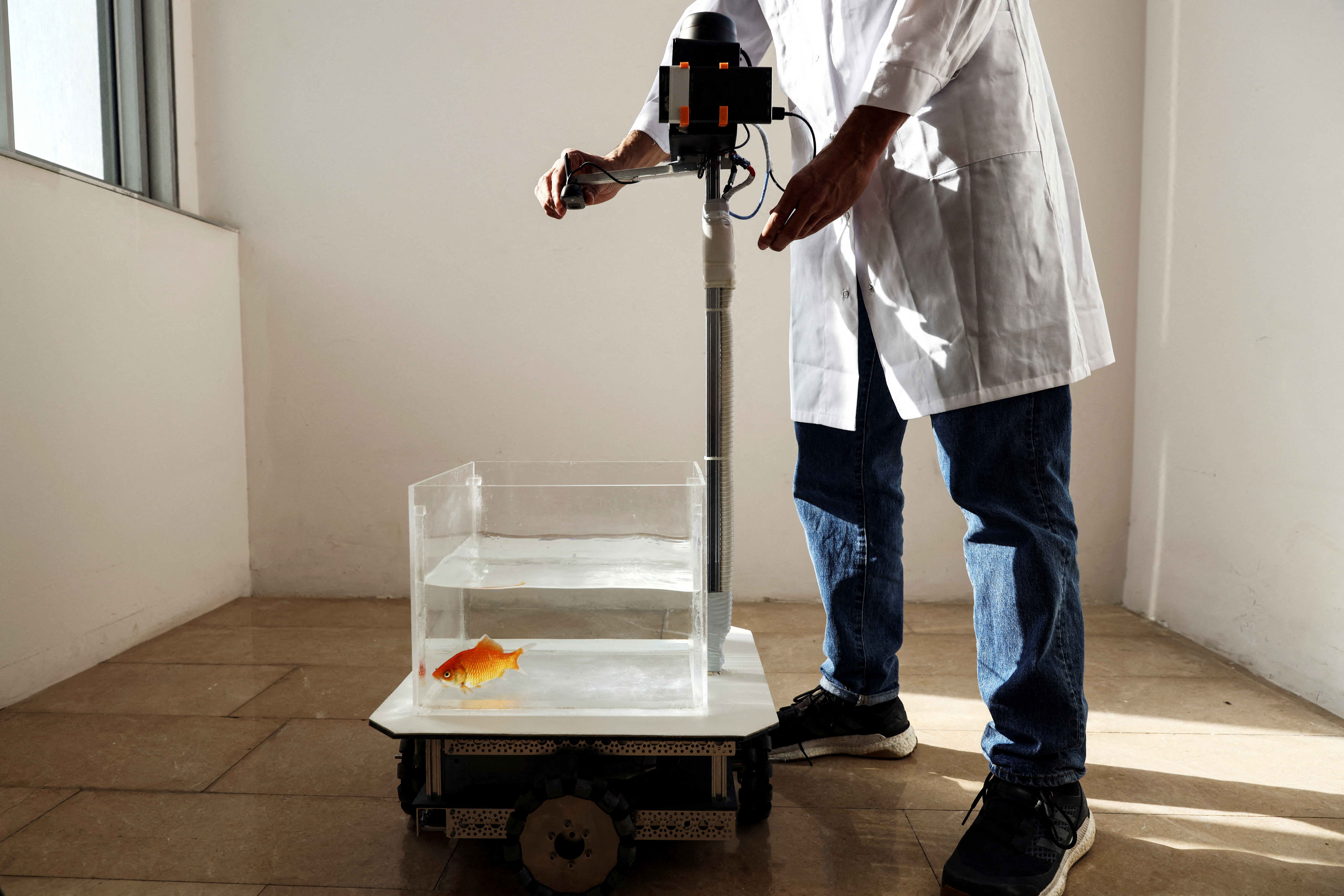 A researcher adjusts a fish-operated vehicle navigated by a goldfish, developed at Ben-Gurion University in Beersheba, Israel, January 6, 2022. REUTERS/Ronen Zvulun