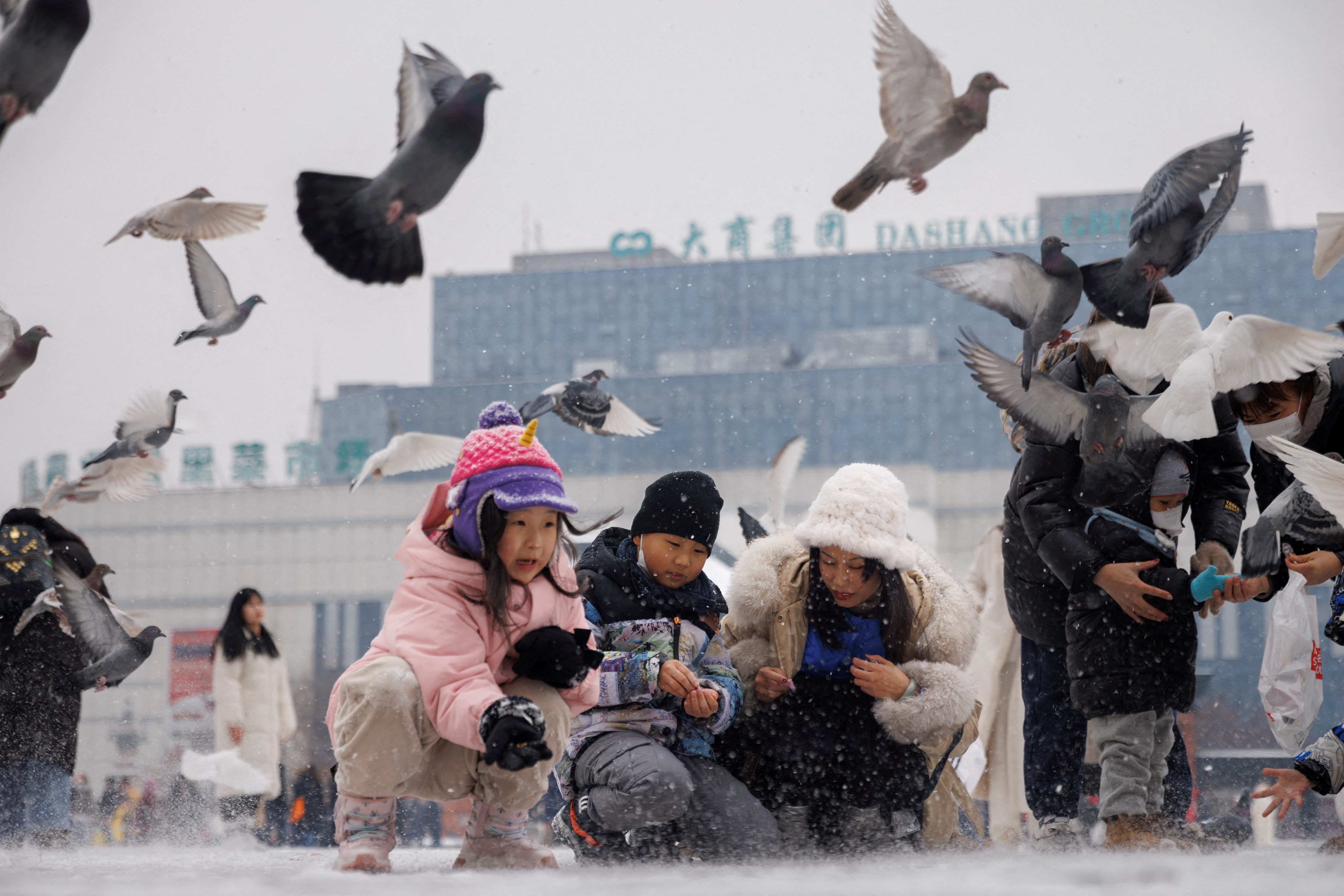 China stops international adoptions of its youngsters after 3 a long time