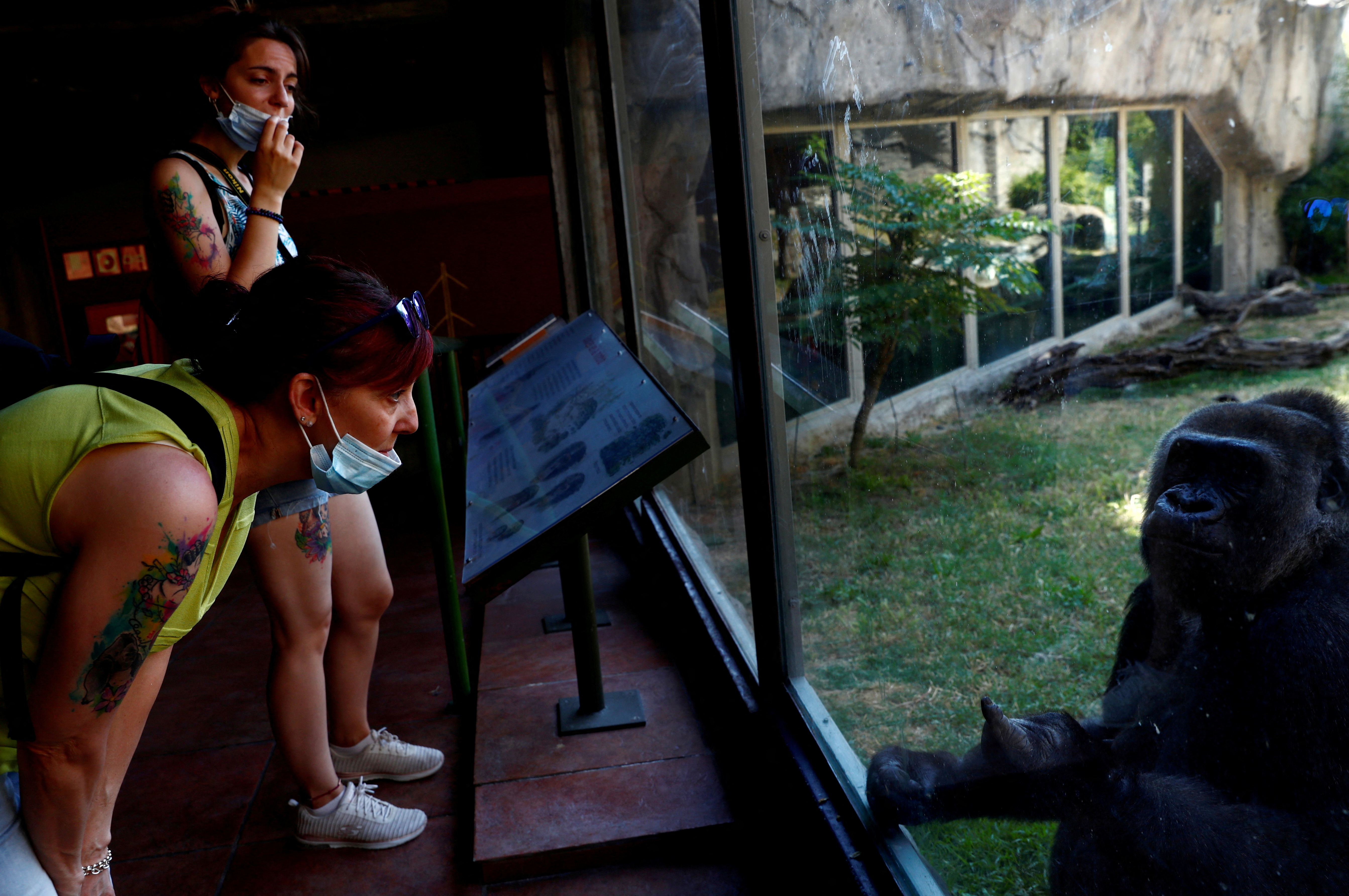 Madrid's zoo reopens its doors after a lockdown caused by the coronavirus disease (COVID-19) outbreak, in Madrid