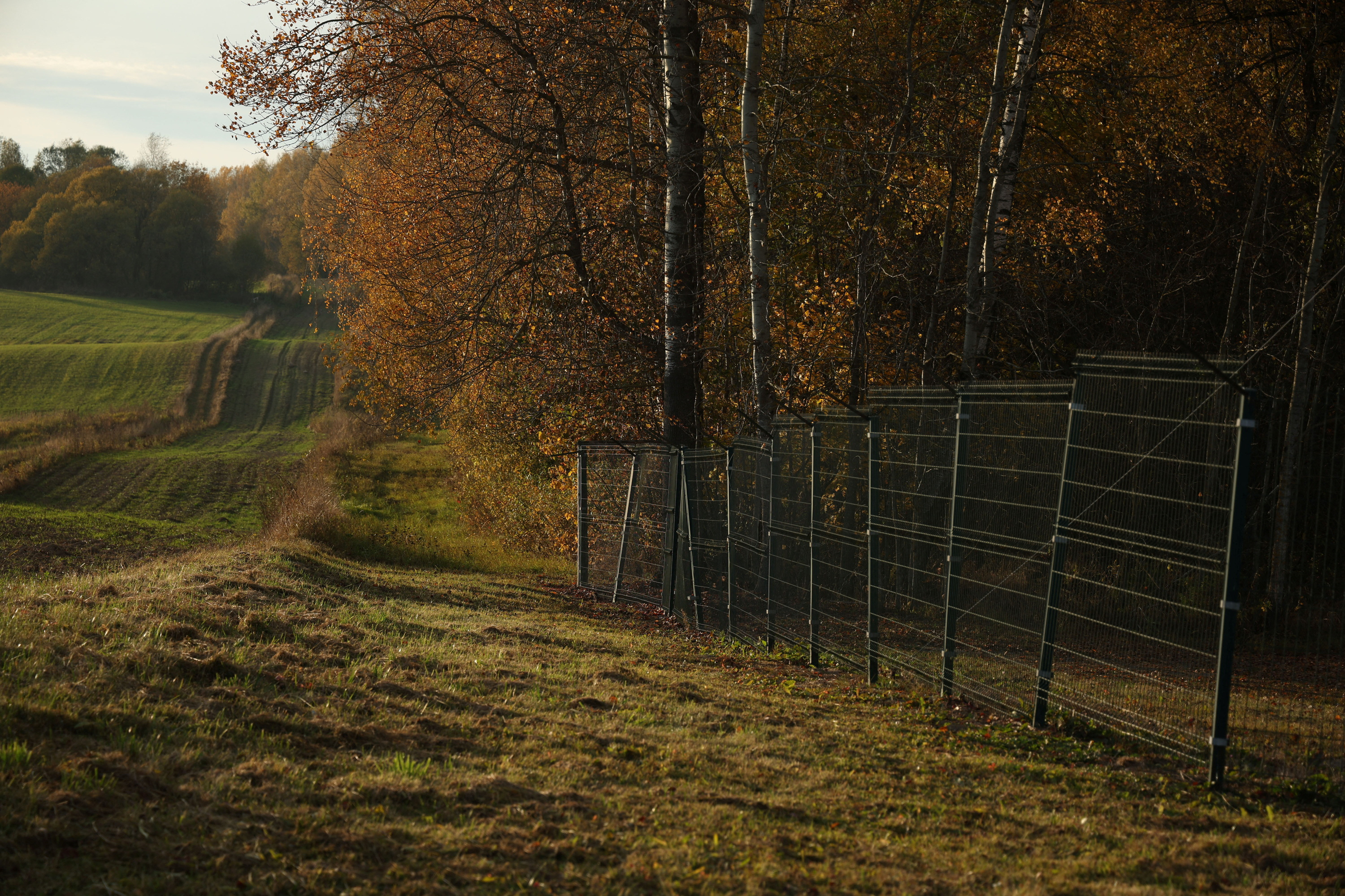 Border fence with Russia is seen at the Suwalki Gap area near Bolcie