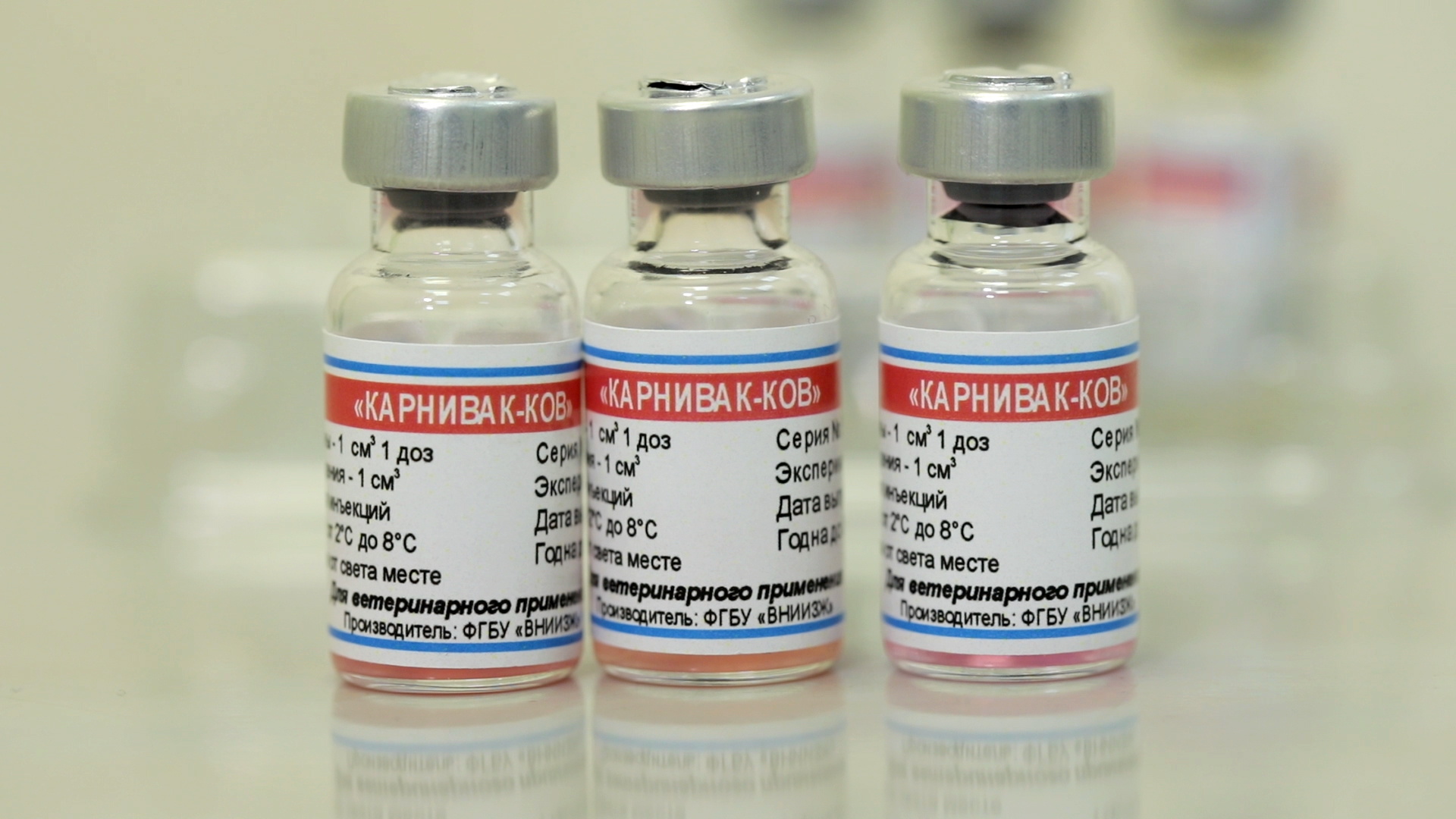 Vials of the Carnivac-Cov vaccine for animals against the coronavirus disease (COVID-19) are pictured at a clinic in Moscow