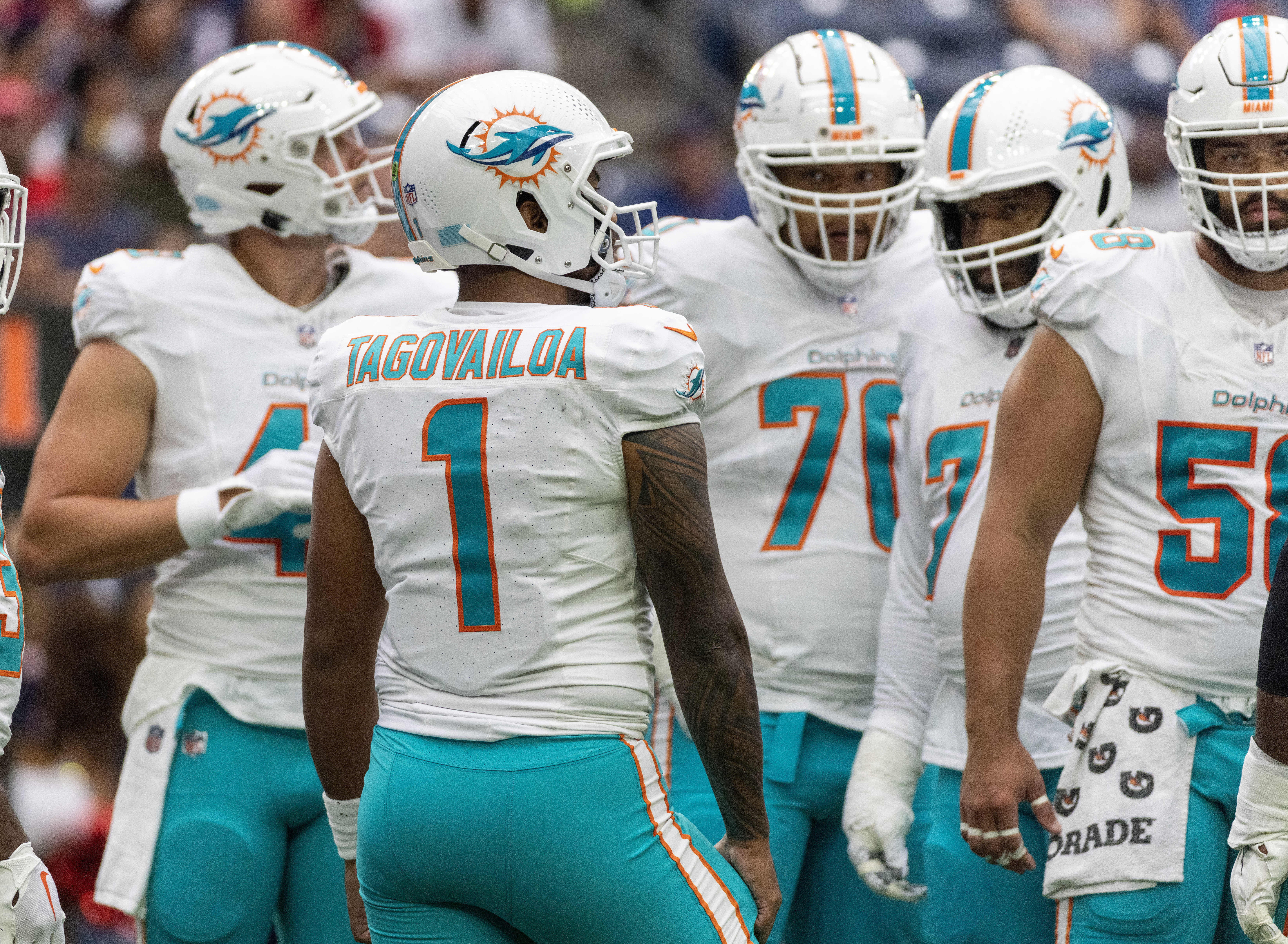 Miami. FL USA; Miami Dolphins quarterback Skylar Thompson (19) rolls out of  the pocket during an NFL game against the Houston Texans at the Hard Rock  Stadium, Sunday, November 27. The Dolphins