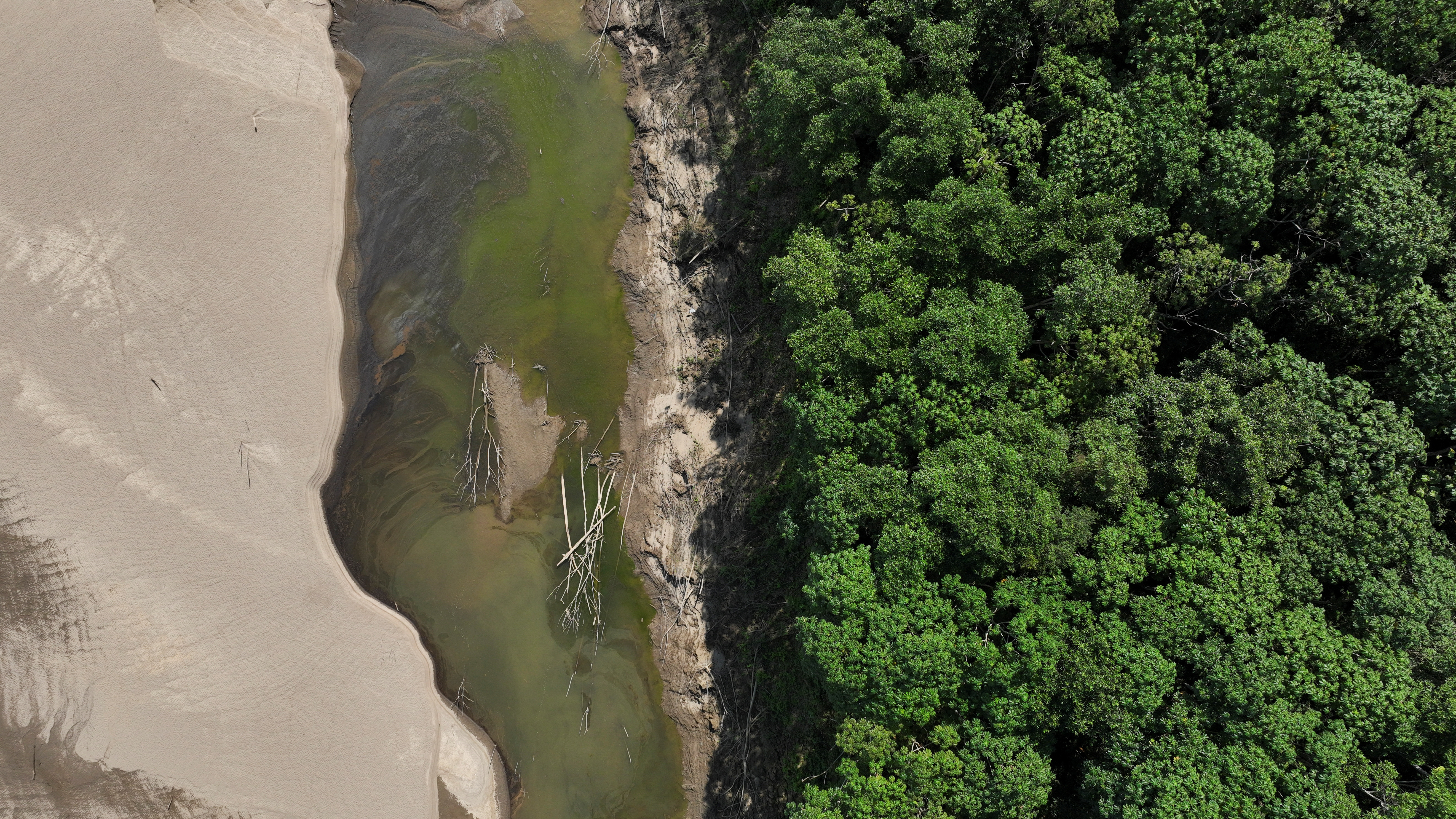 Brazil's  rainforest faces a severe drought that may affect around  500,000 people