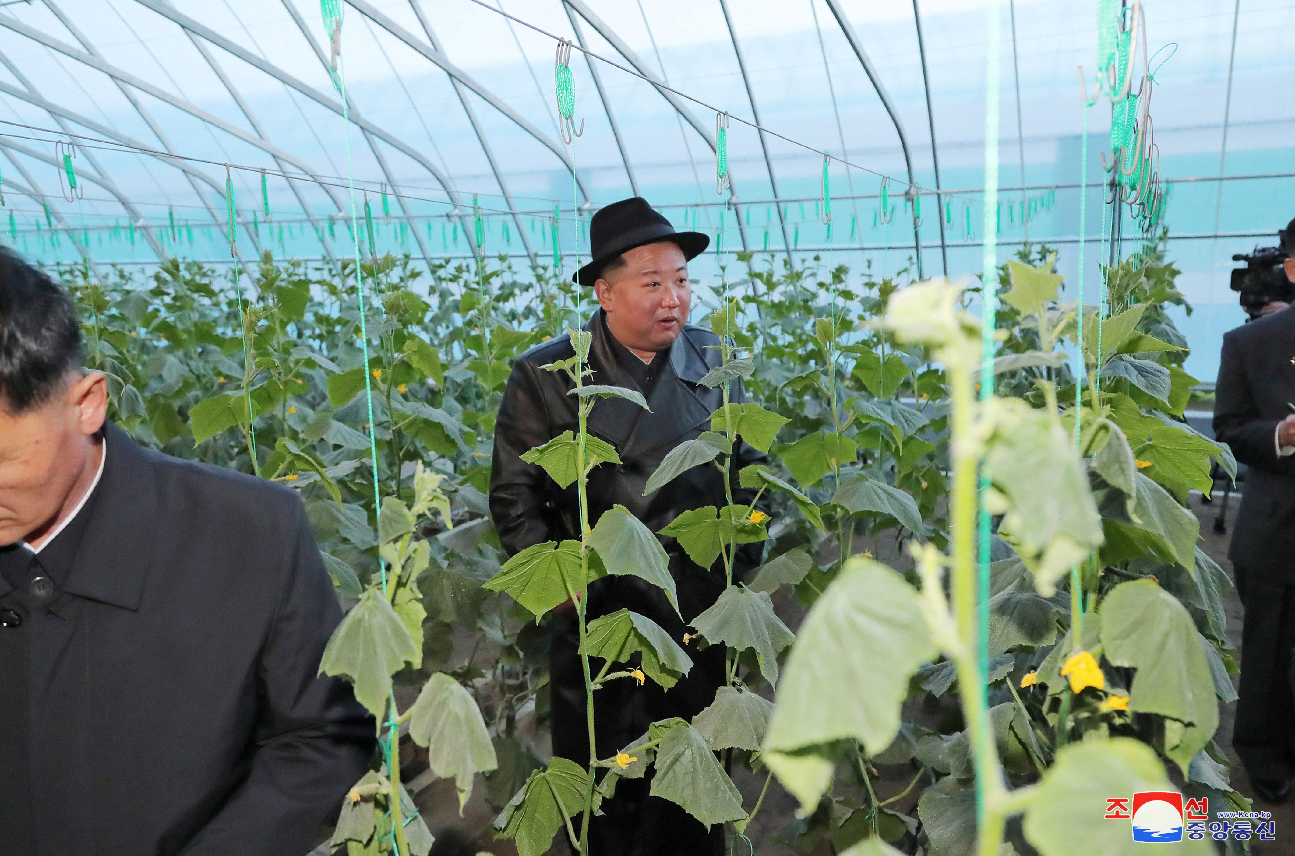North Korea's leader Kim Jong Un attends the opening ceremony of the Ryonpho Greenhouse Farm