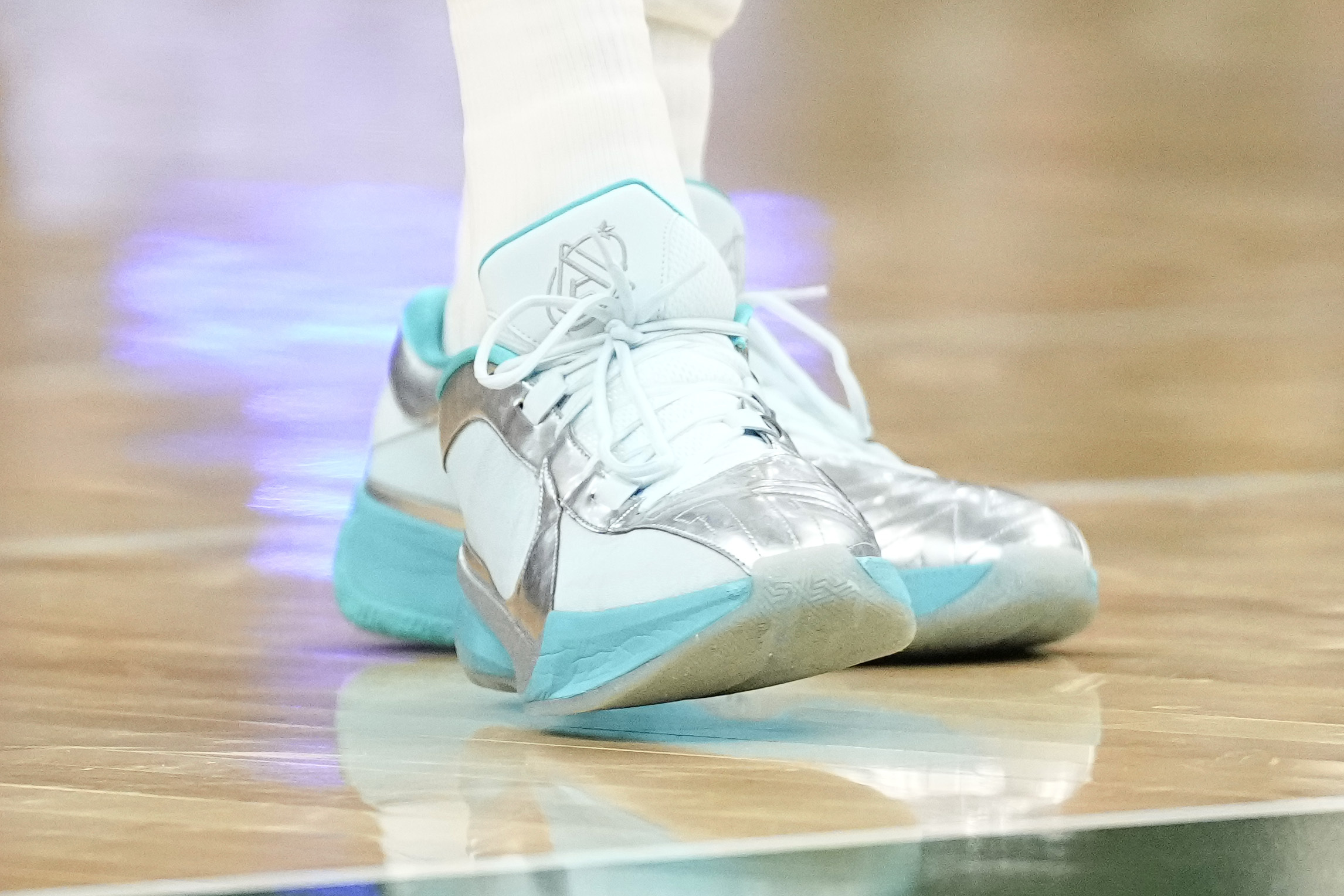 giannis antetokounmposhoes