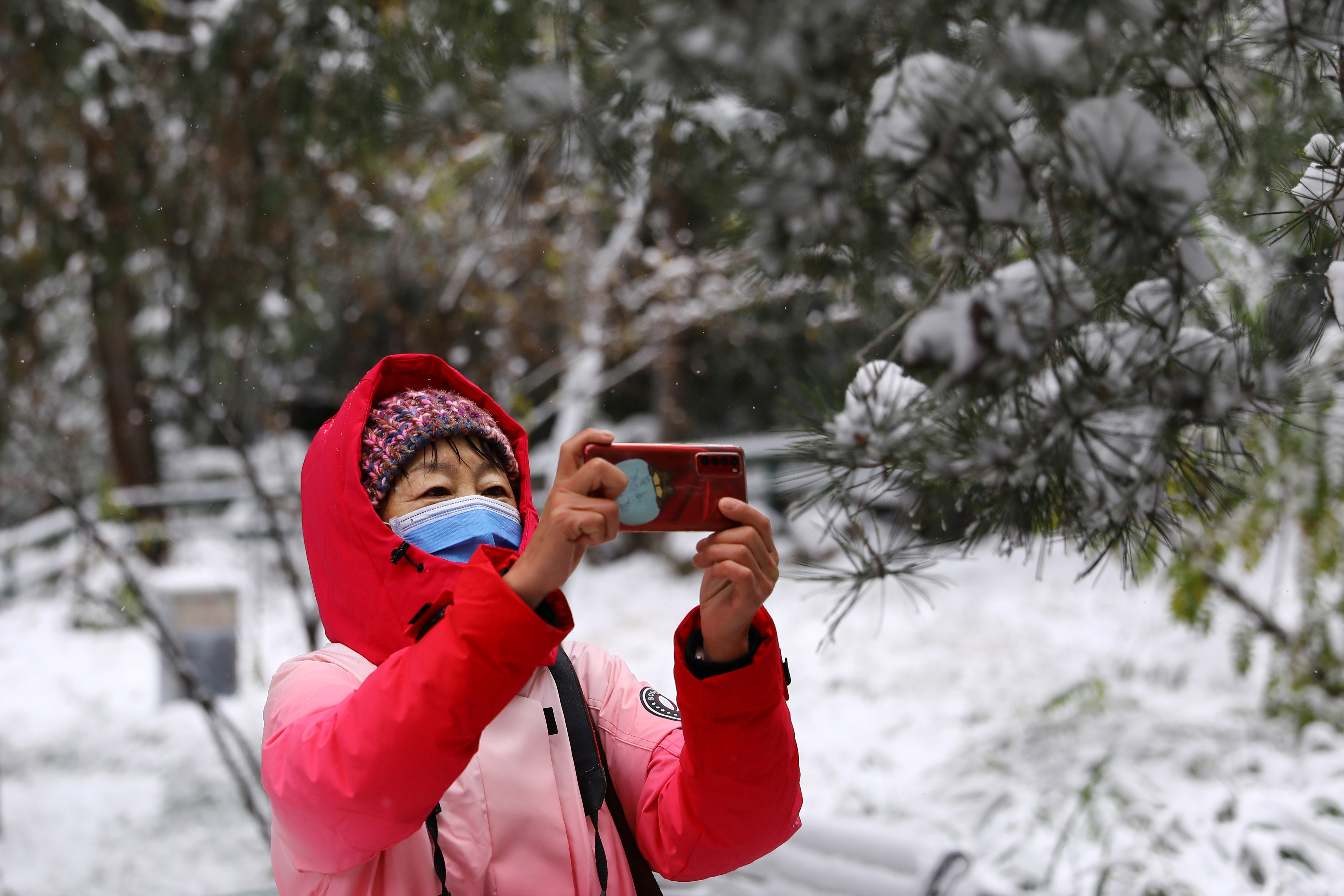 Një grua përdor telefonin e saj pranë një pishe të mbuluar me borë, mes reshjeve të borës në parkun Jingshan, në Pekin, Kinë, 7 nëntor 2021. REUTERS/Tingshu Wang