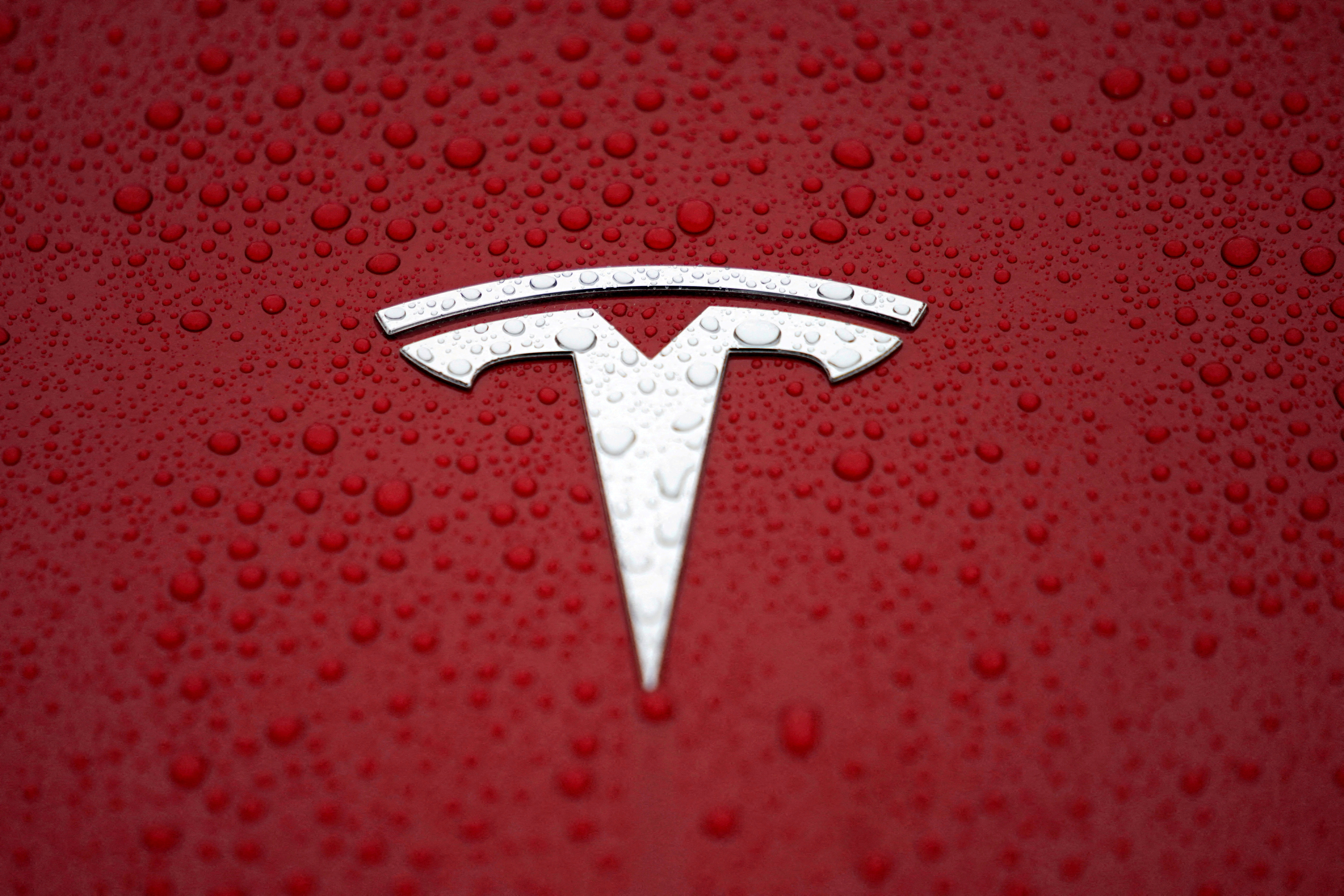 FILE PHOTO: A Tesla logo is seen at a groundbreaking ceremony of Tesla Shanghai Gigafactory in Shanghai