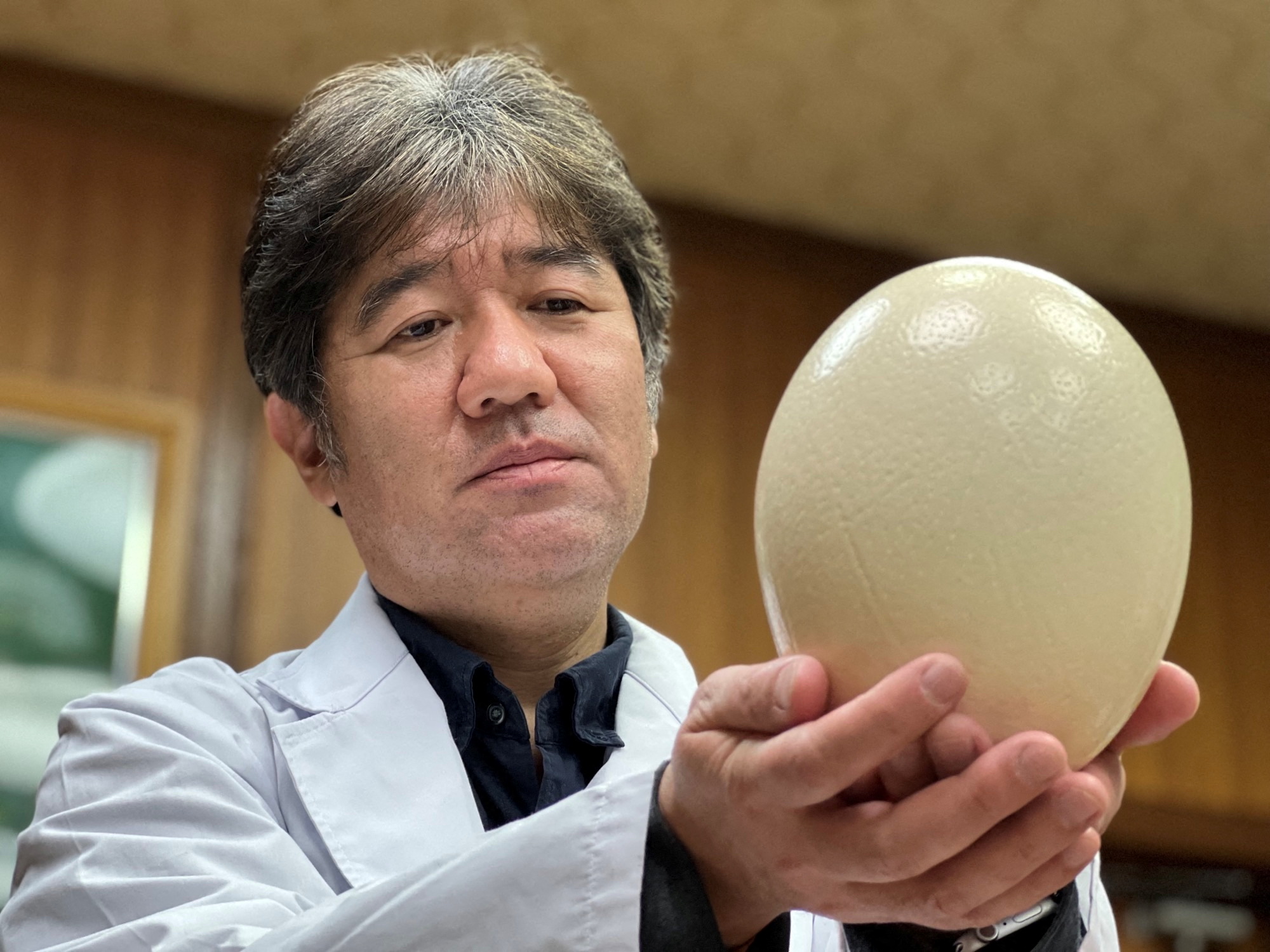 Handout photo shows KPU President Tsukamoto holding ostrich egg in Kyoto
