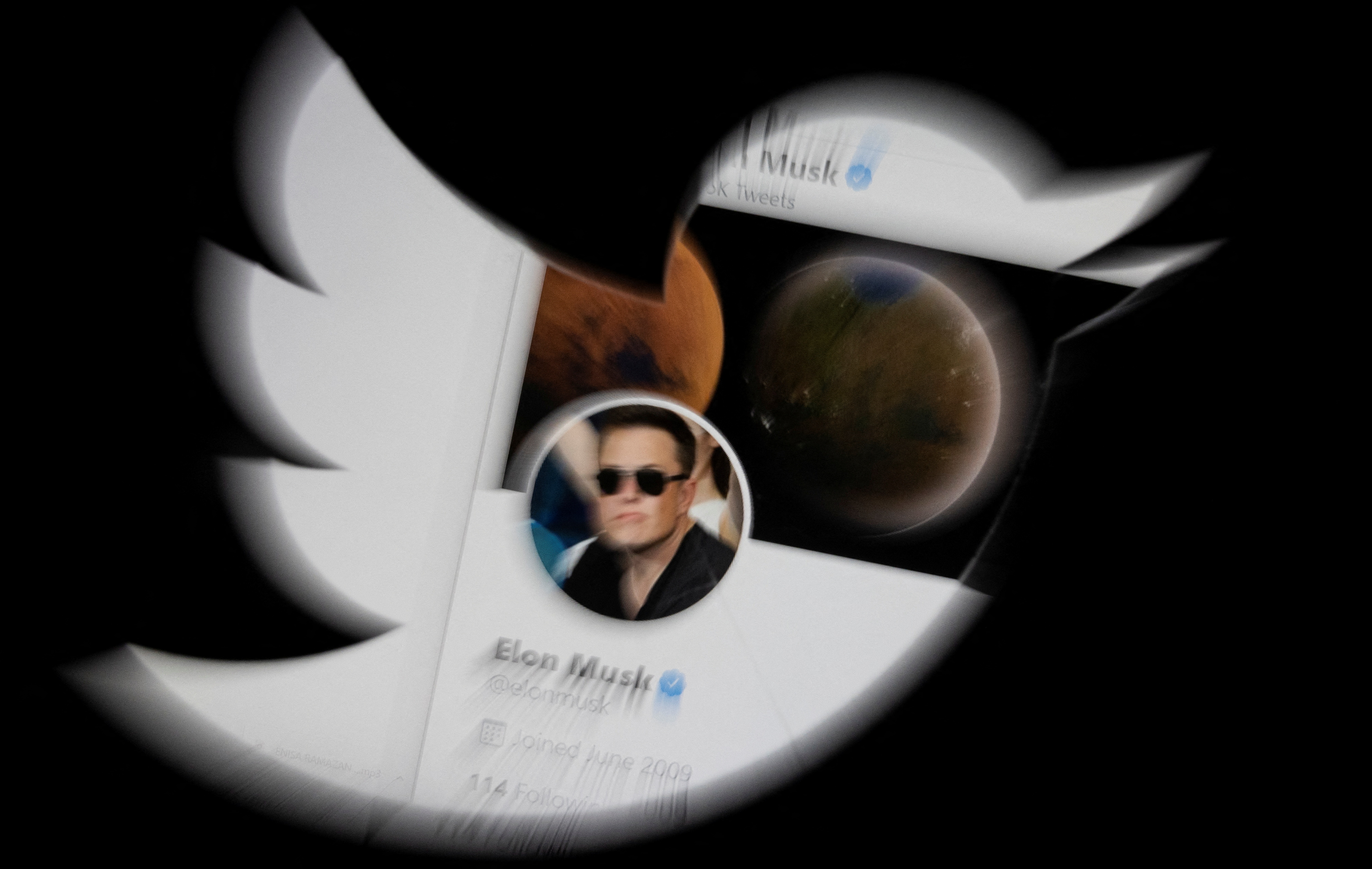 Twitter is just showing everyone all of Elon's tweets now / Is