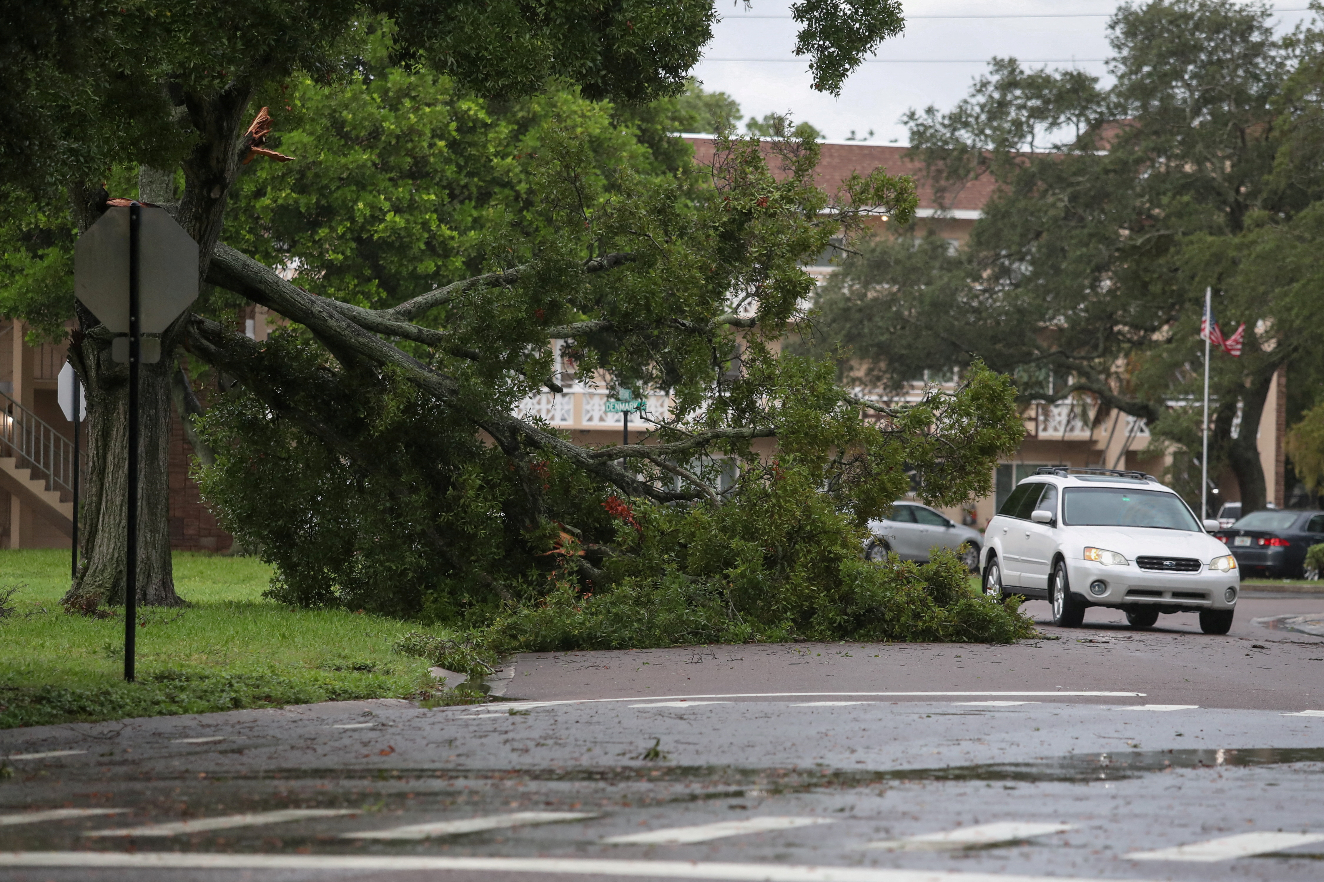 A resident drives past a fallen tree from Hurricane Idalia in Clearwater, Florida