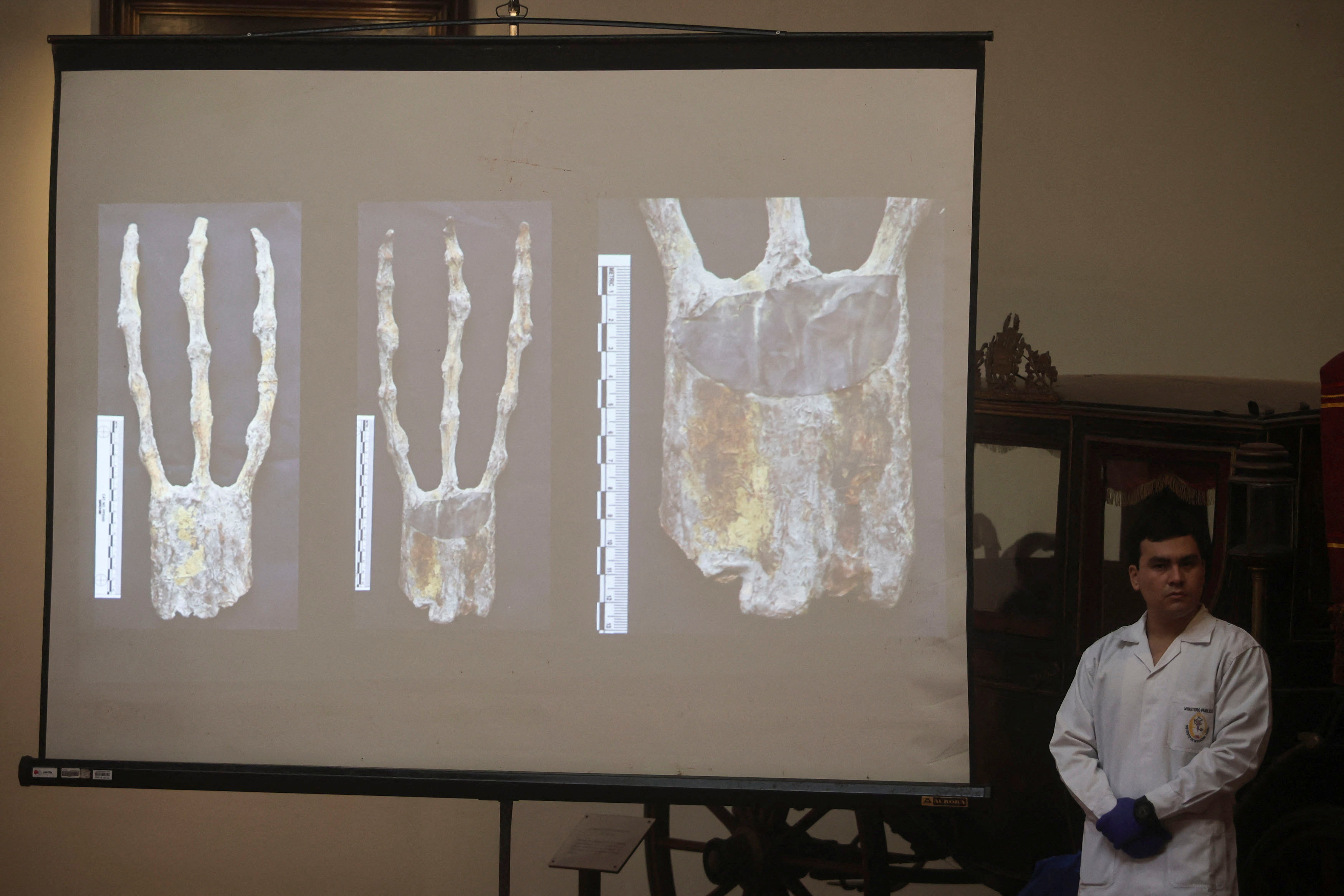 Scientists Assert alien Mummies In Peru Are Really Dolls Made From 