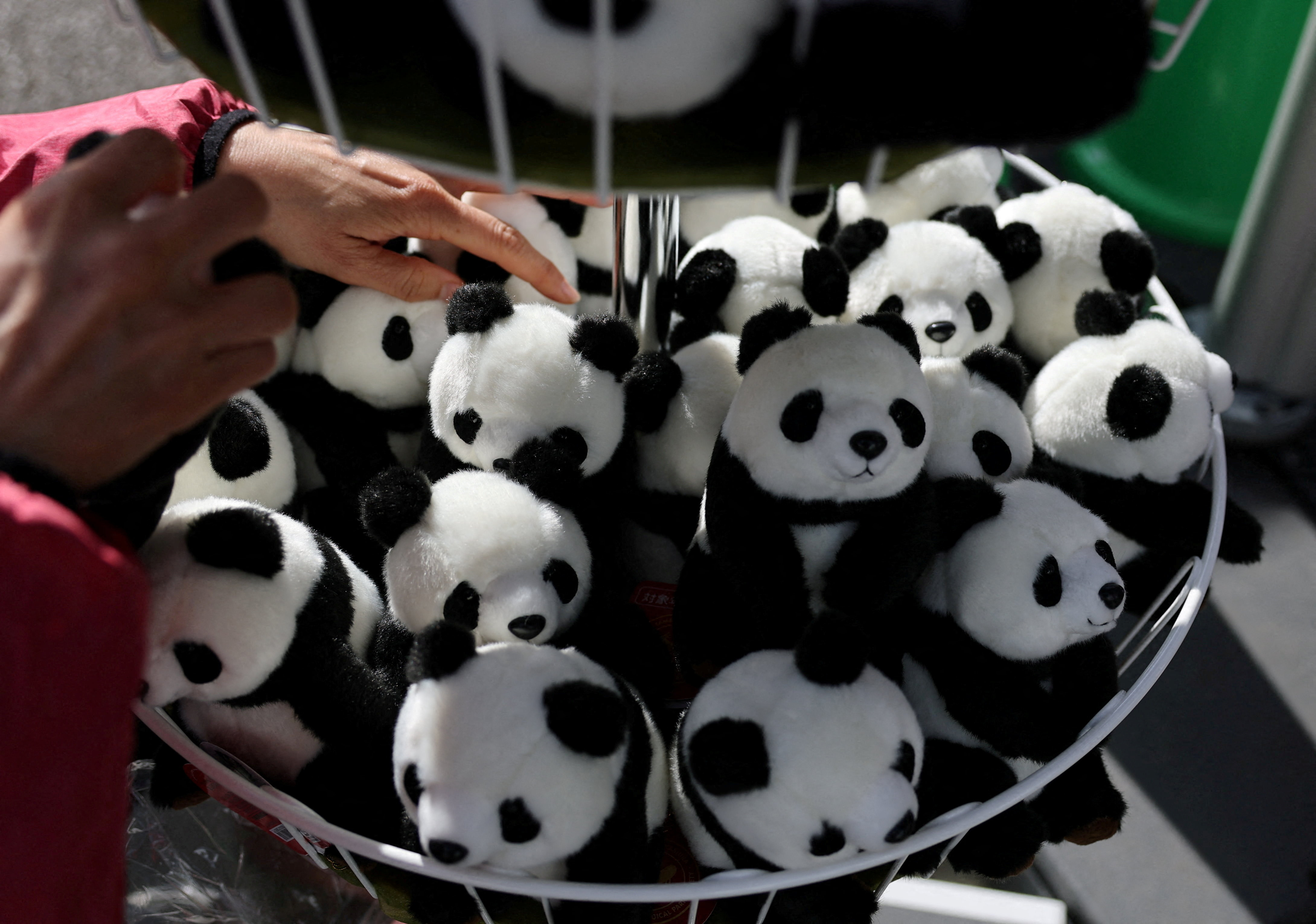 Crowds flock to Tokyo zoo to see pandas before they leave for