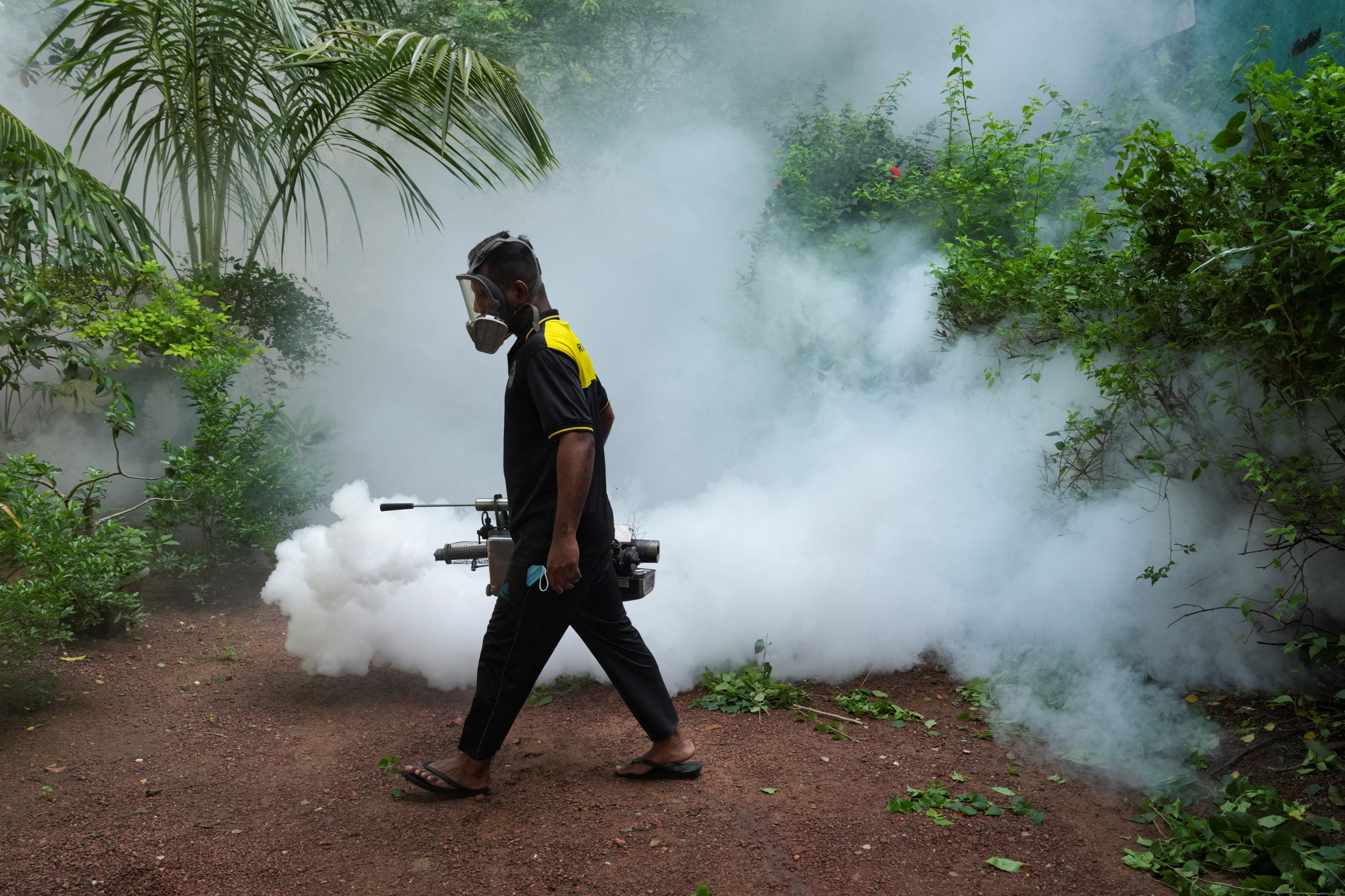 Sri Lanka Battles Dengue Surge: 44,000 Cases Recorded, Cyclone Aftermath Blamed
