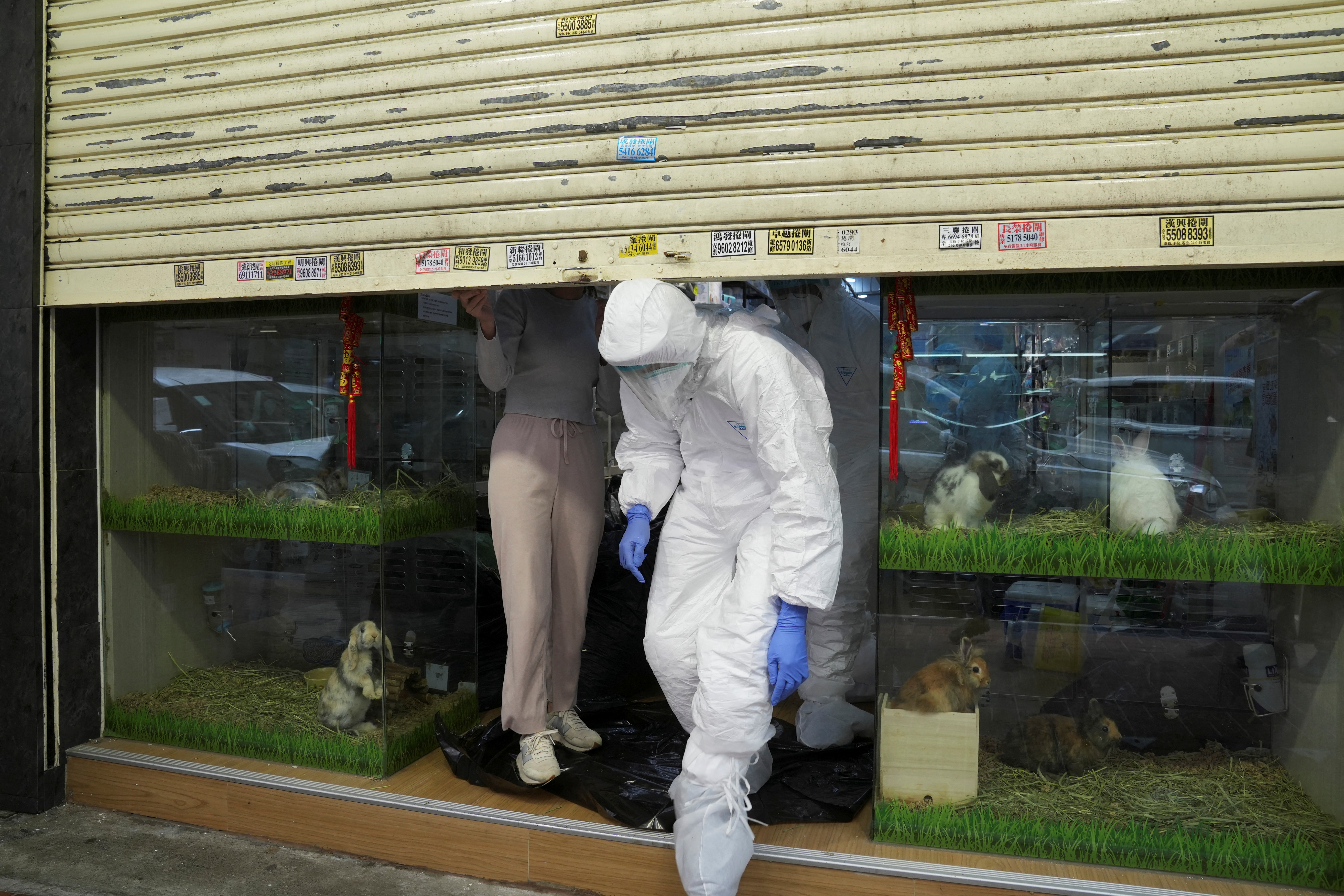 Officers in protective suits at a closed pet shop in Hong Kong