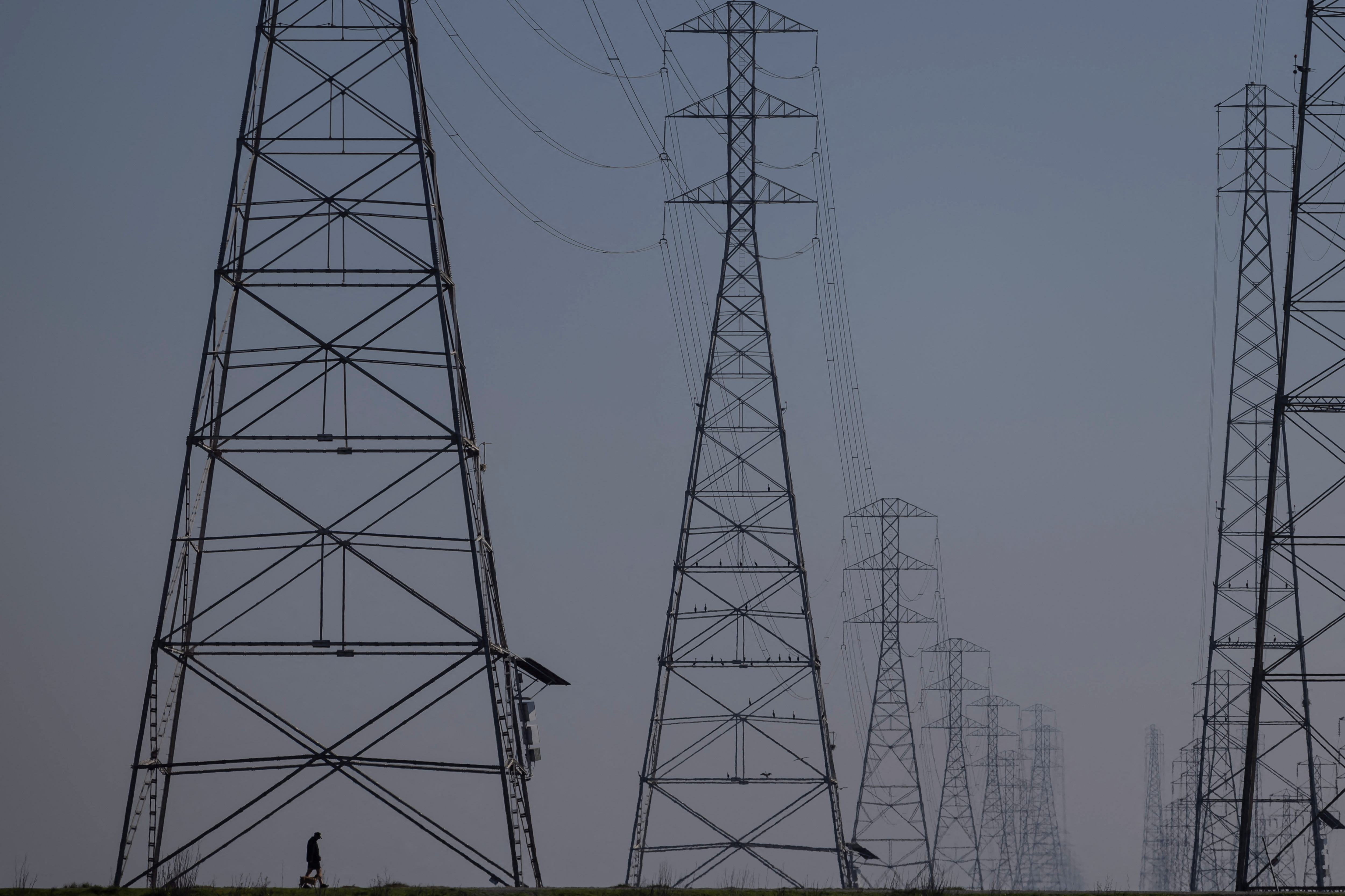Power grid towers at Bair Island State Marine Park in Redwood City, California, United States