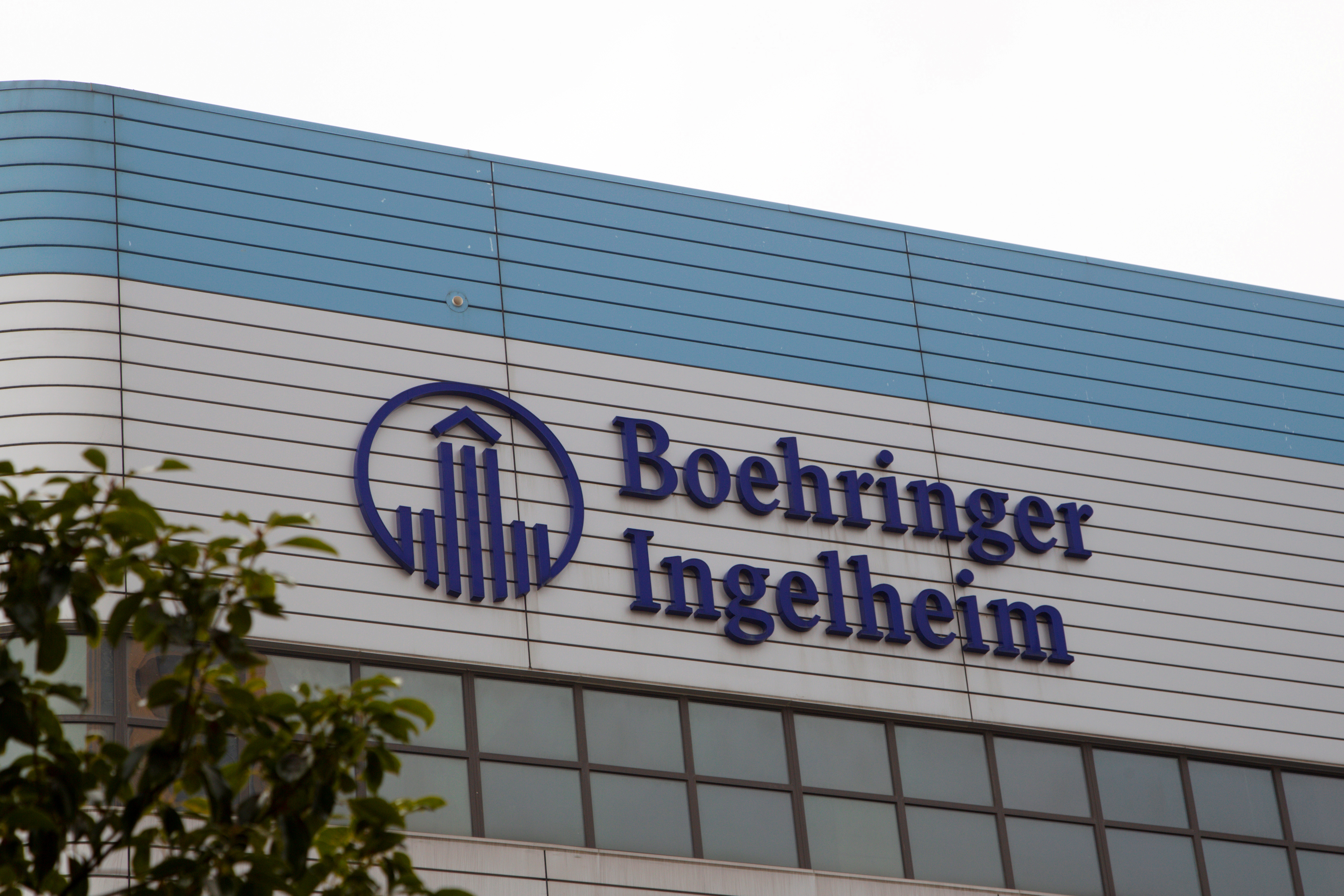 The logo of German pharmaceutical company Boehringer Ingelheim is seen at its building in Shanghai