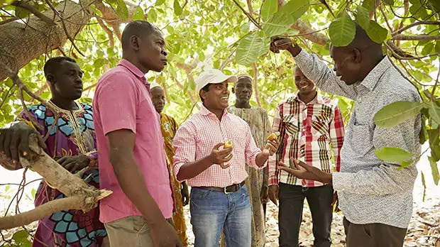 OFI is encouraging regenerative practices among its thousands of smallholder farmer suppliers