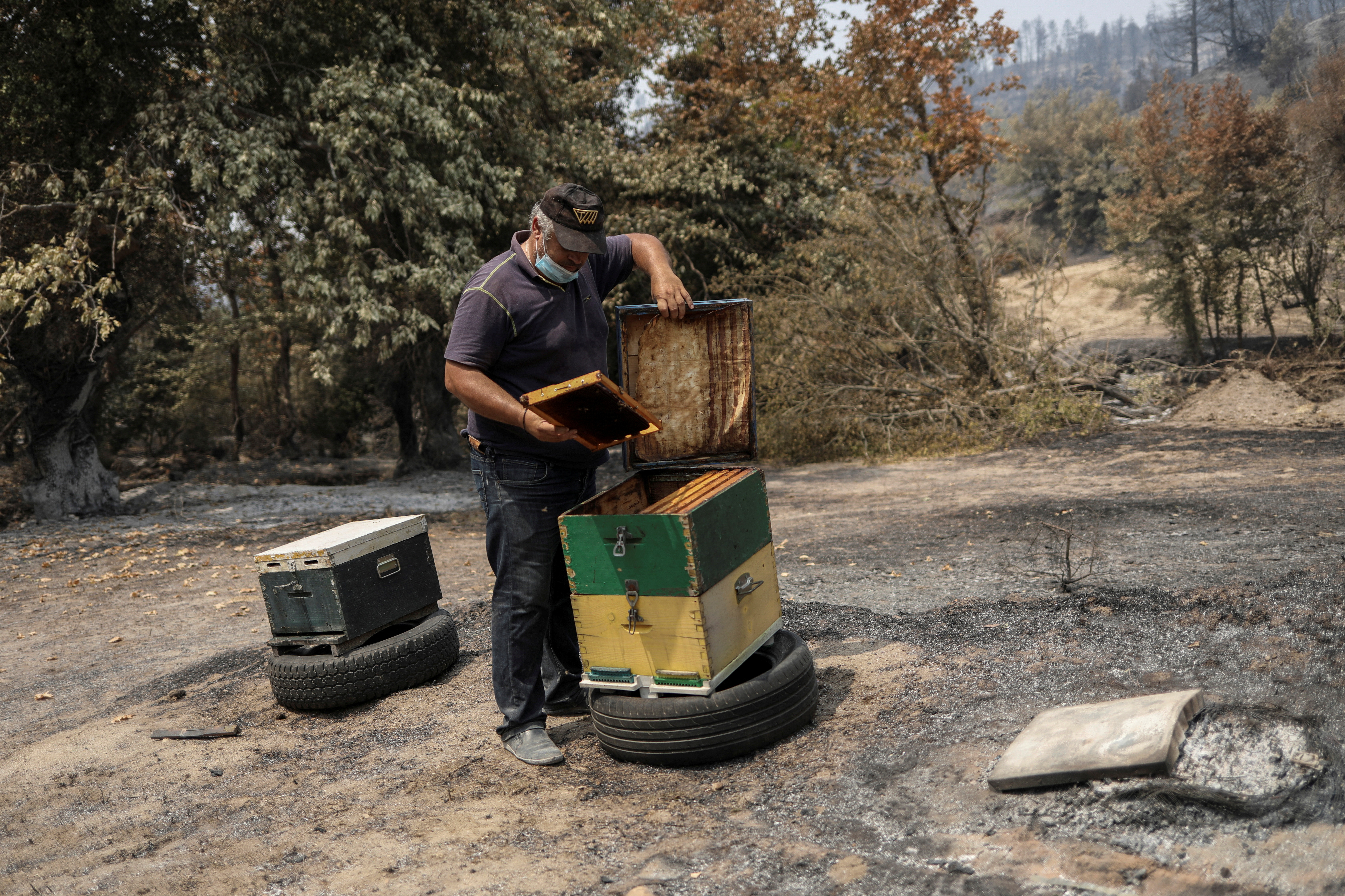 Beekeeper Antonis Vakos, 49, checks a beehive next to other destroyed beehives, following a wildfire near the village of Voutas on the island of Evia