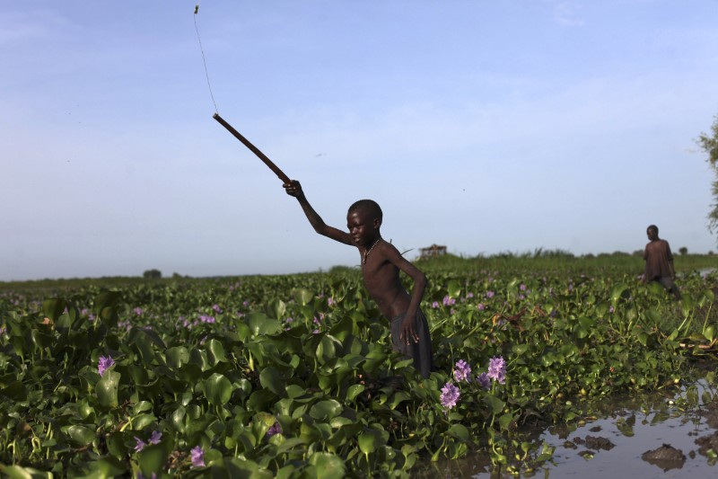 Sudan's SPLM-N rebel group declares famine in its territory | Reuters