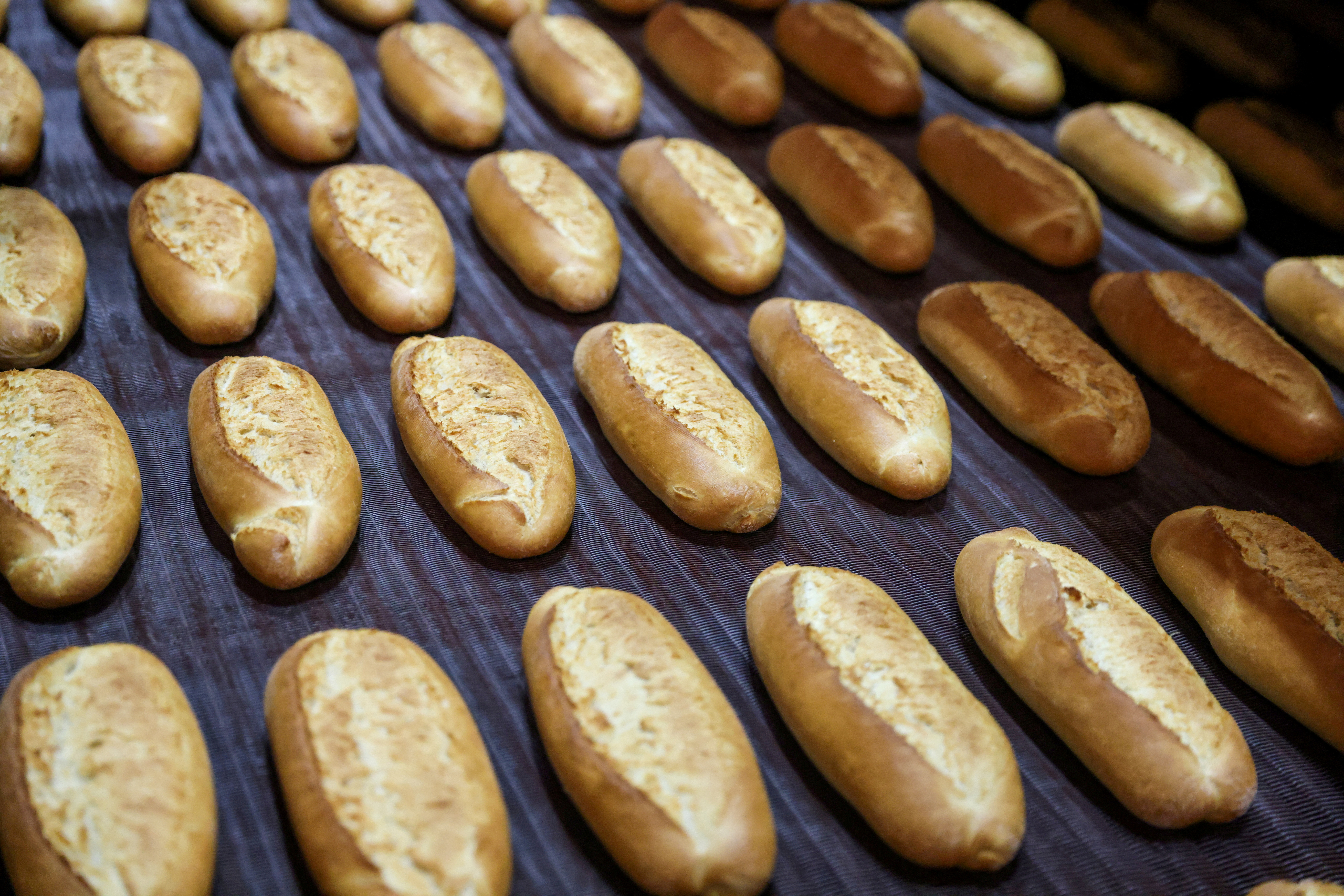 Freshly baked loaves of  bread are seen at a production line at Istanbul Municipality's People's Bread factory in Istanbul