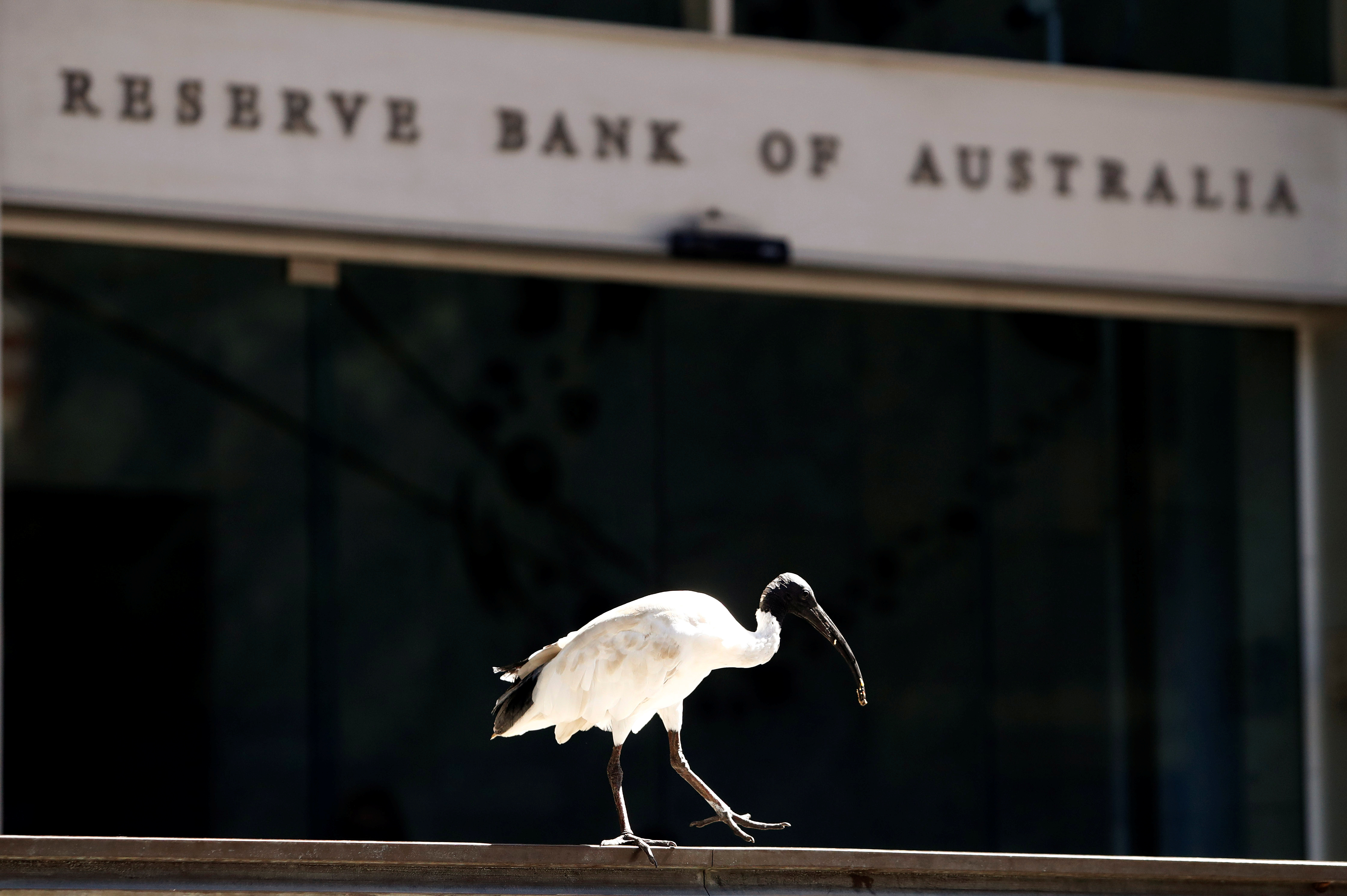 Australia Central Bank Cash Rate Seen At Record Low; QE Likely To ...