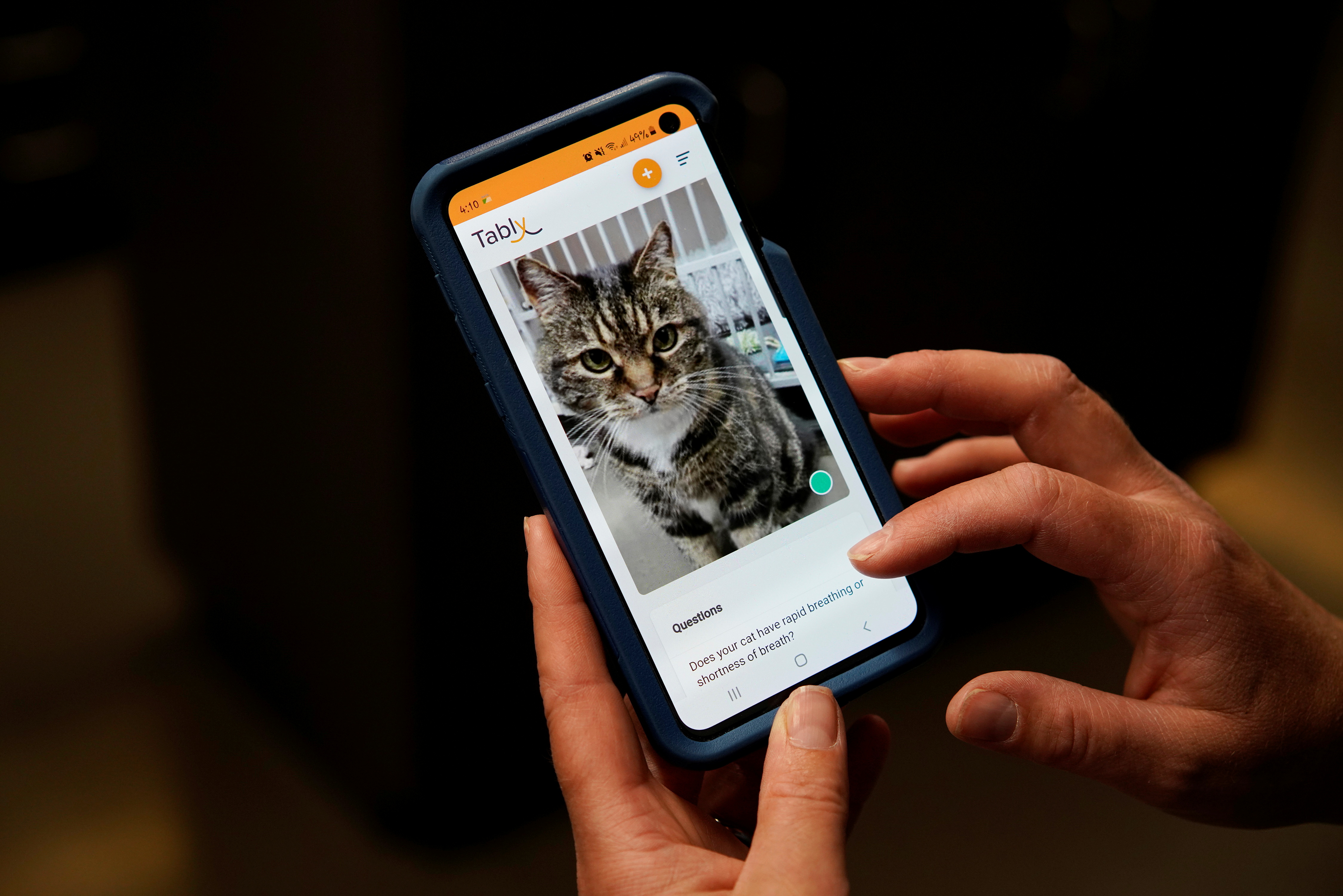 Dr. Liz Ruelle uses a new app called Tably that reads cat's faces and helps her monitor a cat's health at the Wild Rose Cat clinic in Calgary, Alberta, Canada, July 14, 2021. REUTERS/Todd Korol