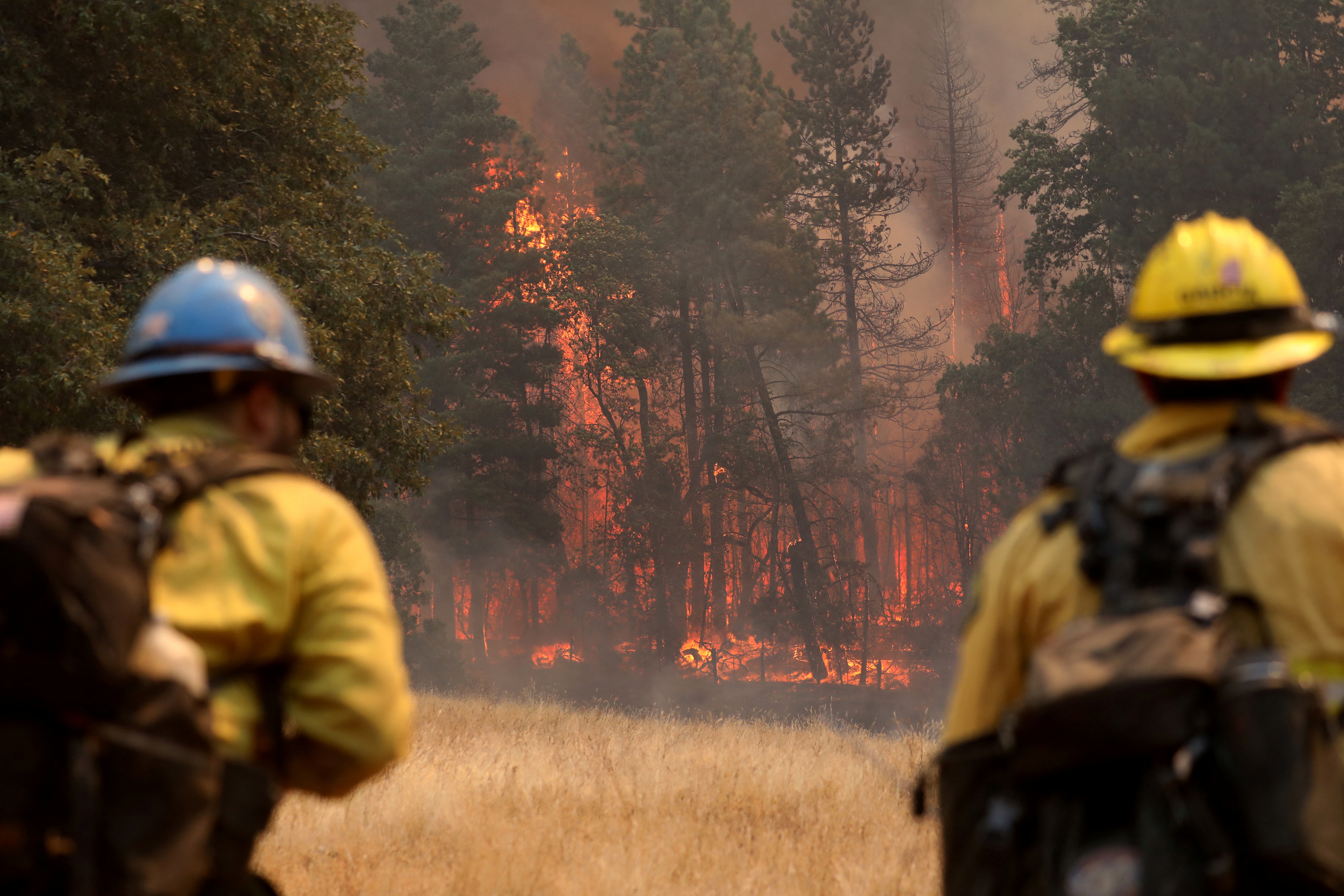 Oak Fire Burns in California