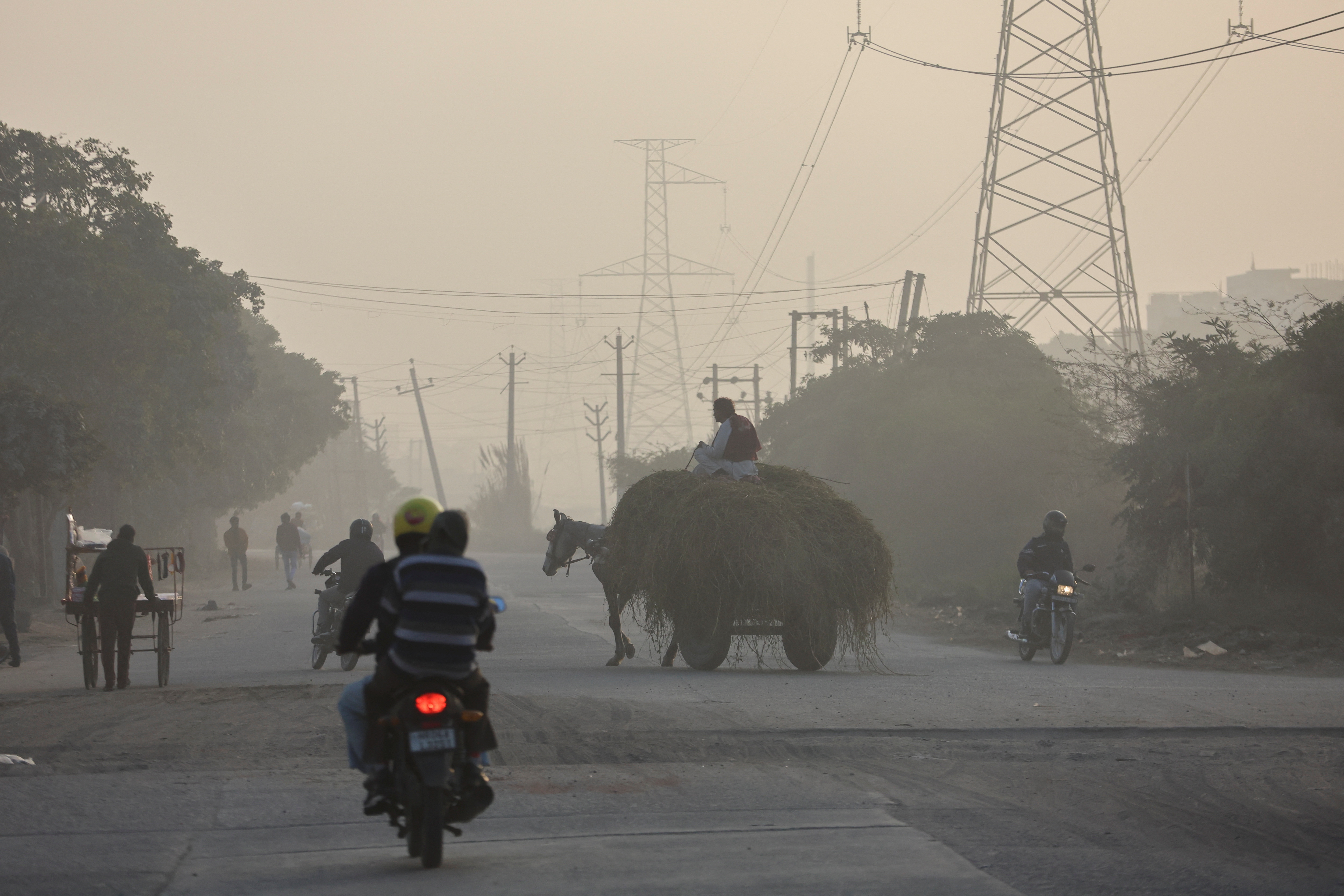 A horse cart crosses a road near dyeing units in Panipat