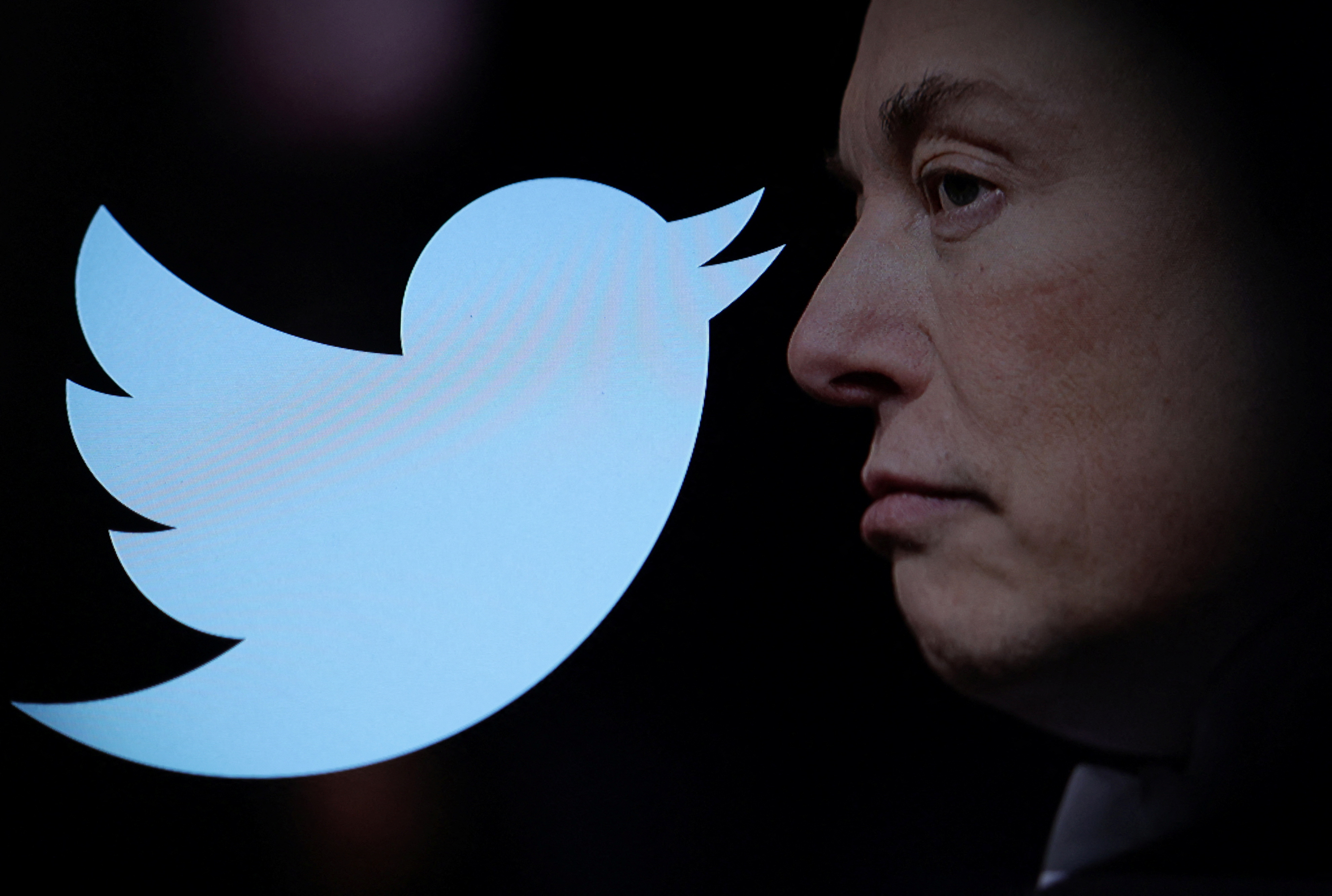 Picture shows Elon Musk photo and Twitter logo