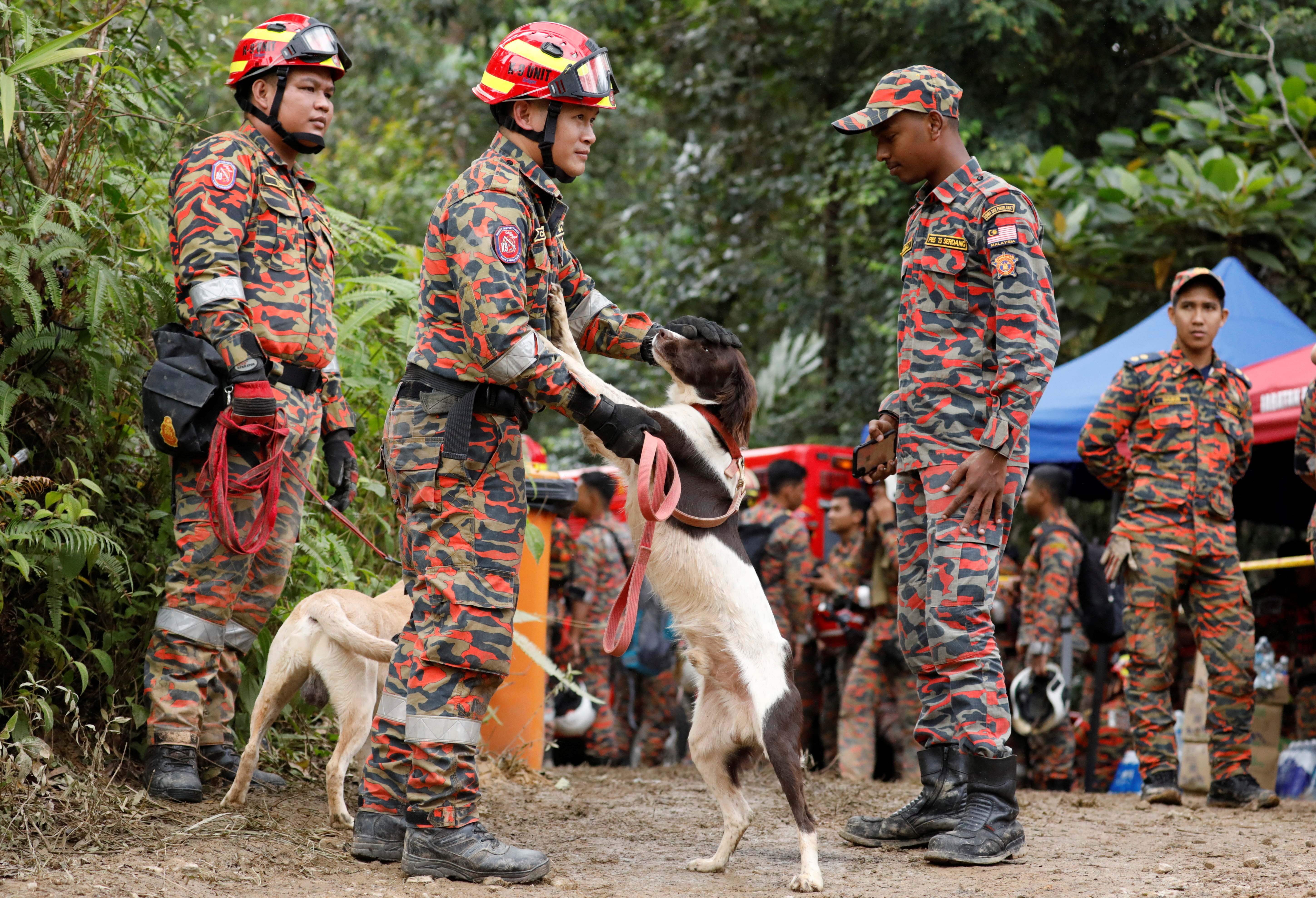 A rescuer crew member pats a sniffer dog being used to aid in the search for victims of the landslide in Batang Kali