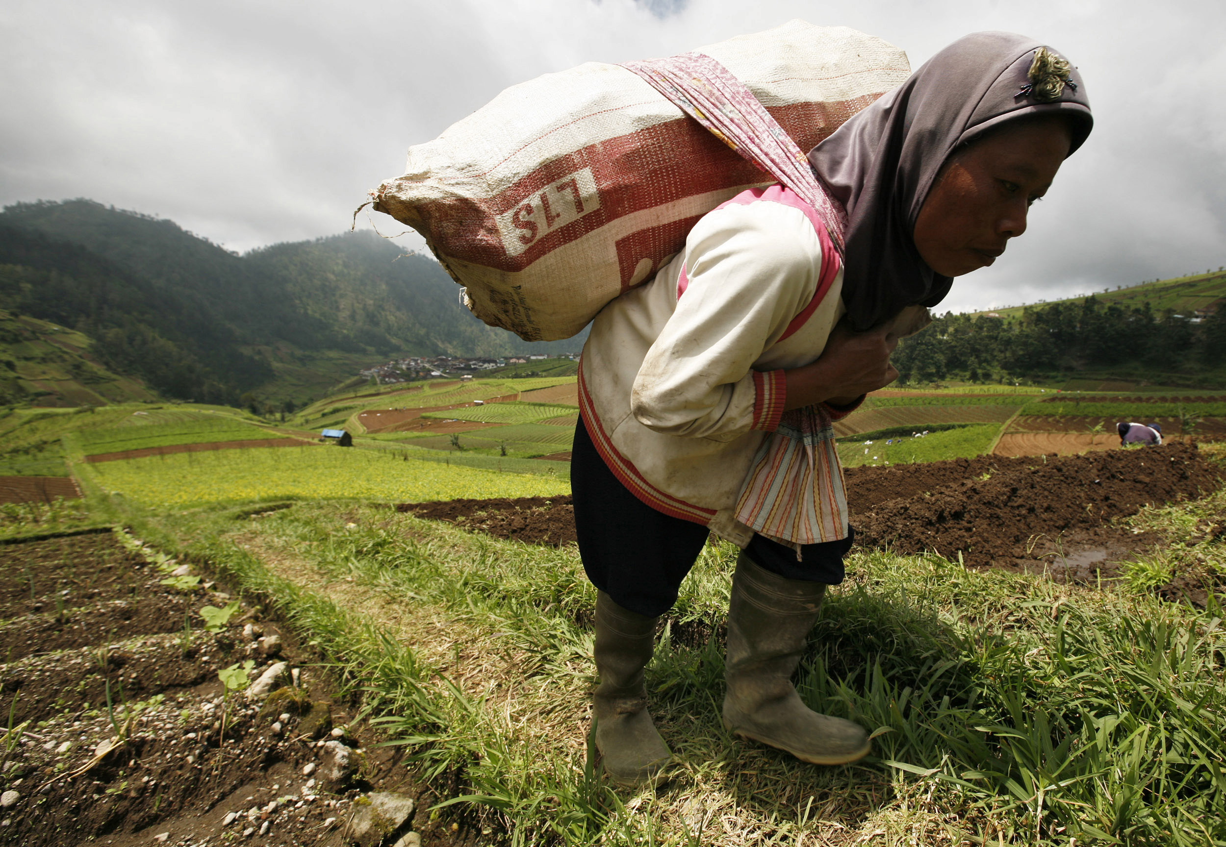 A woman farmer walks up a hill as she carries carrots in Tawangmangu village in Karanganyar regency