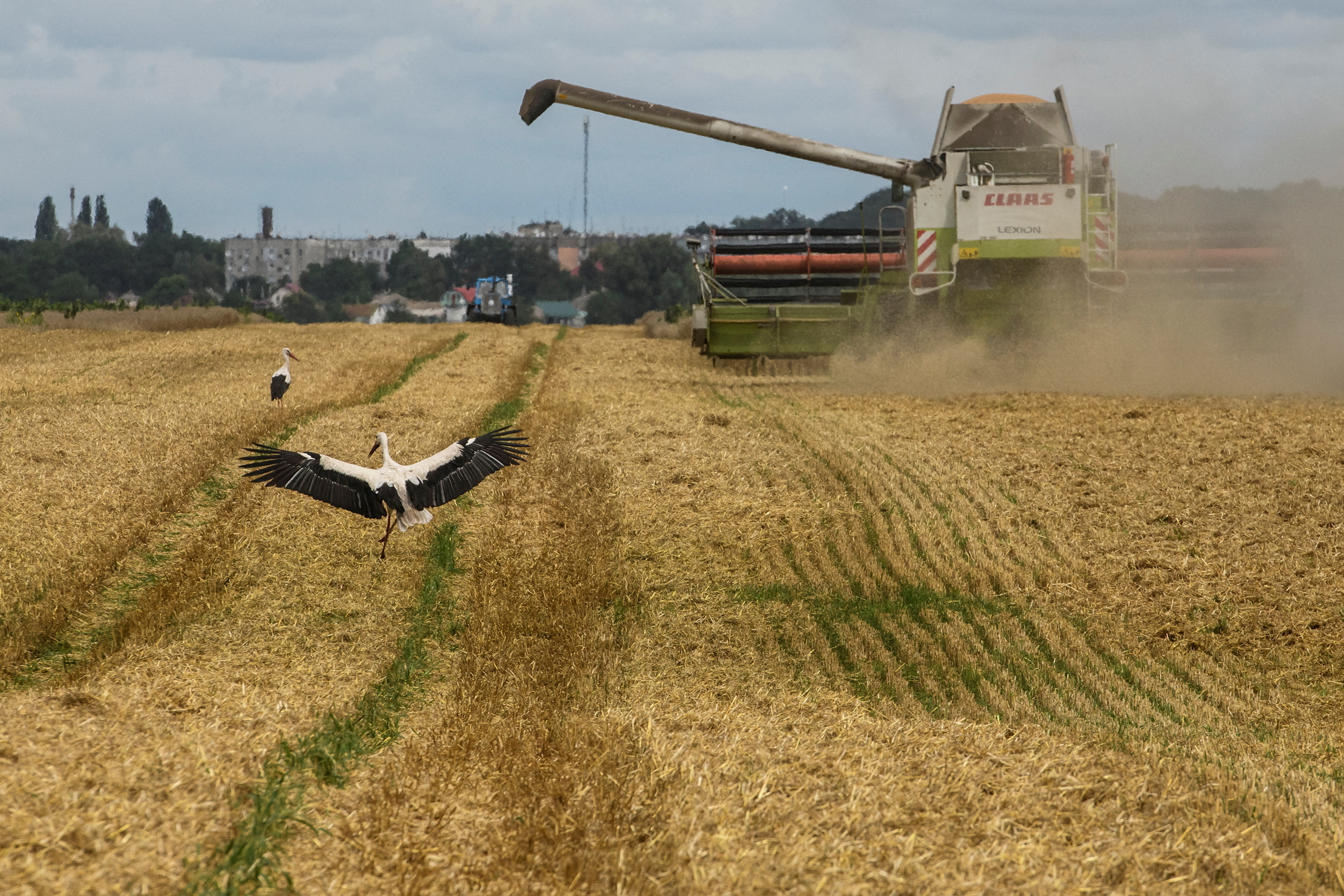 Wheat harvesting in Kyiv region amid Russia's attack on Ukraine