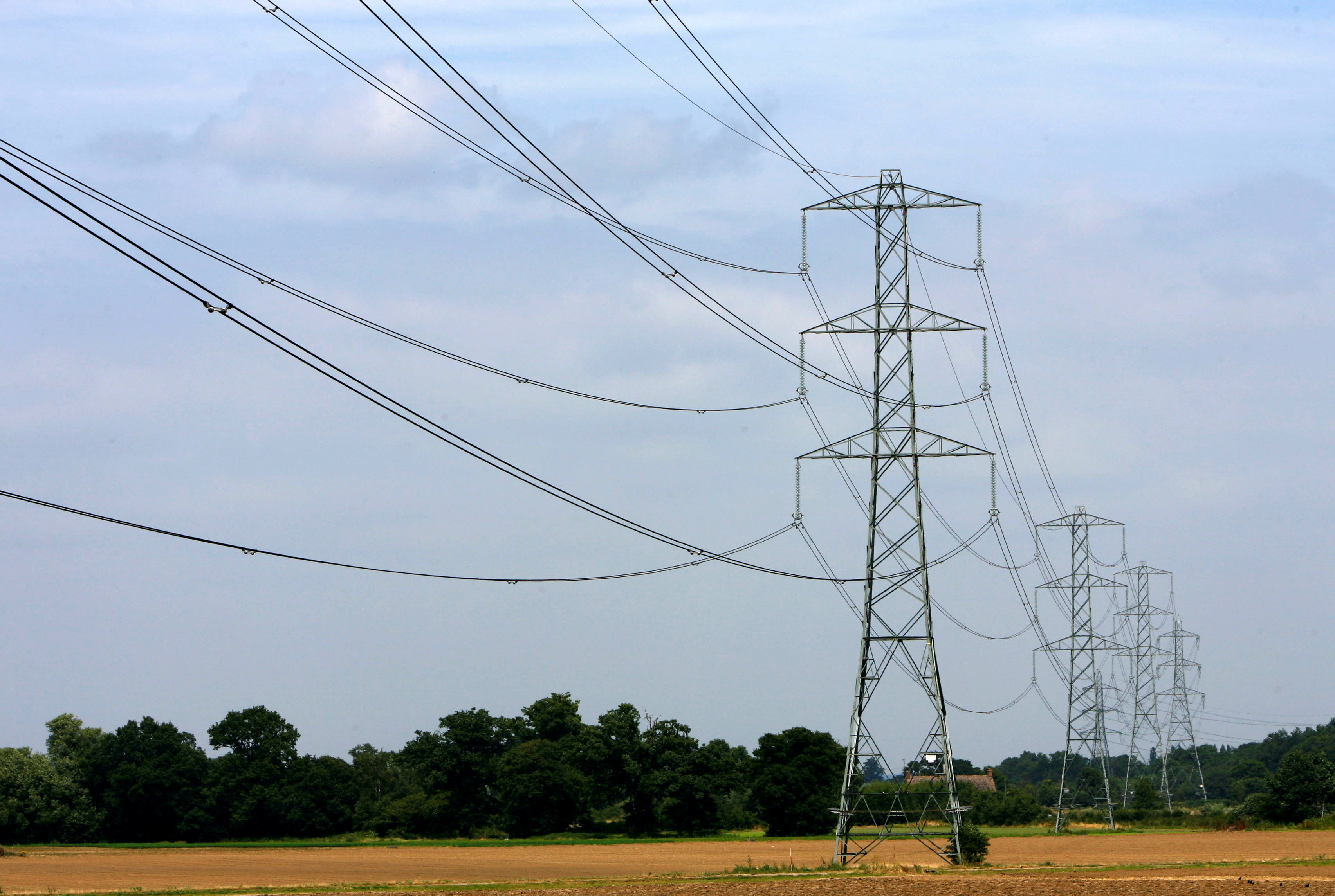 Electricity pylons are pictured near Cobham in Surrey, southern England, July 25, 2008. REUTERS/Luke MacGregor