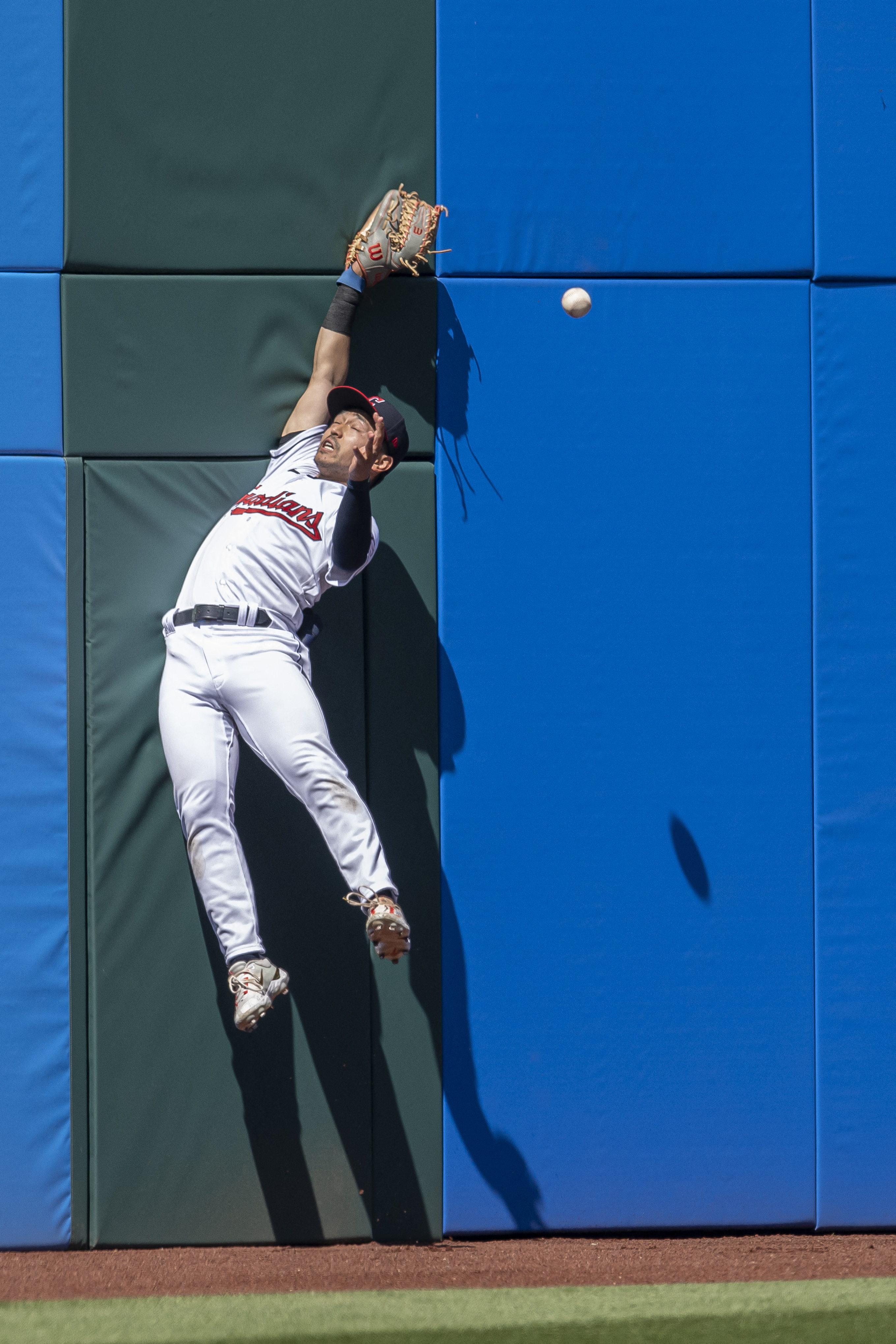 Oswaldo Cabrera of the New York Yankees makes a catch in right field  News Photo - Getty Images