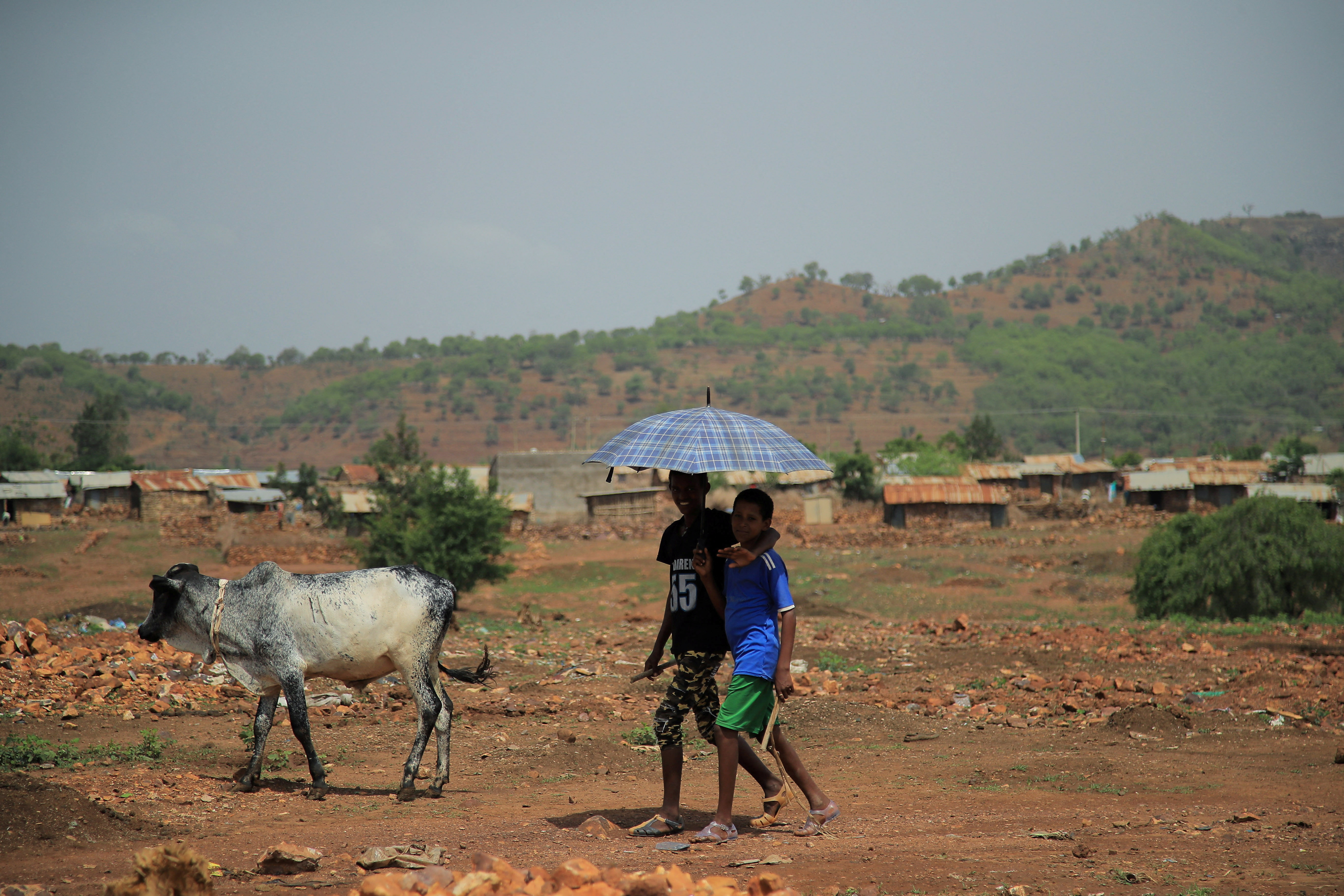 Ethiopia's Tigray region say committed to observing humanitarian ceasefire