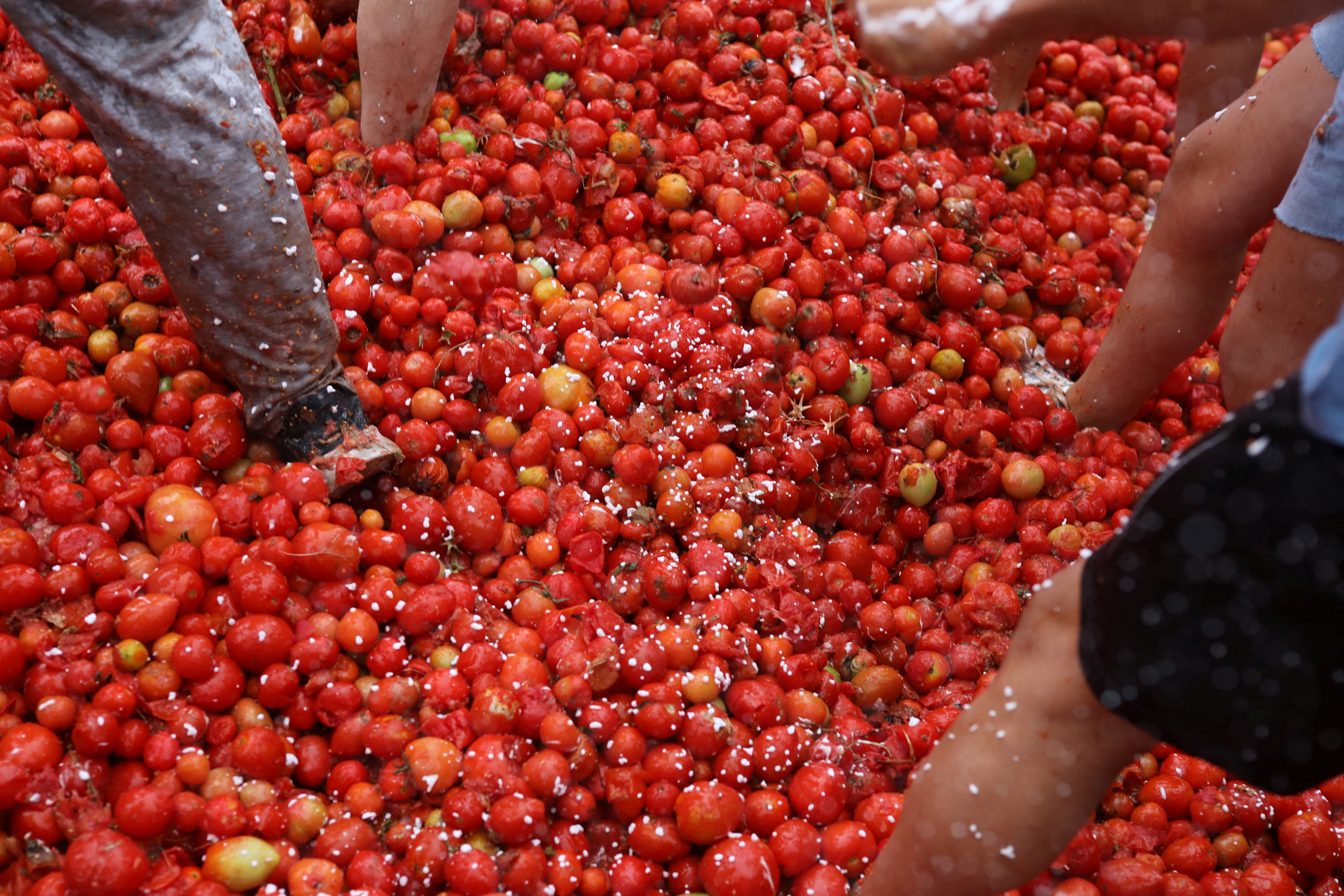 Tomatoes fly during Colombia's Gran Tomatina festival - June 2