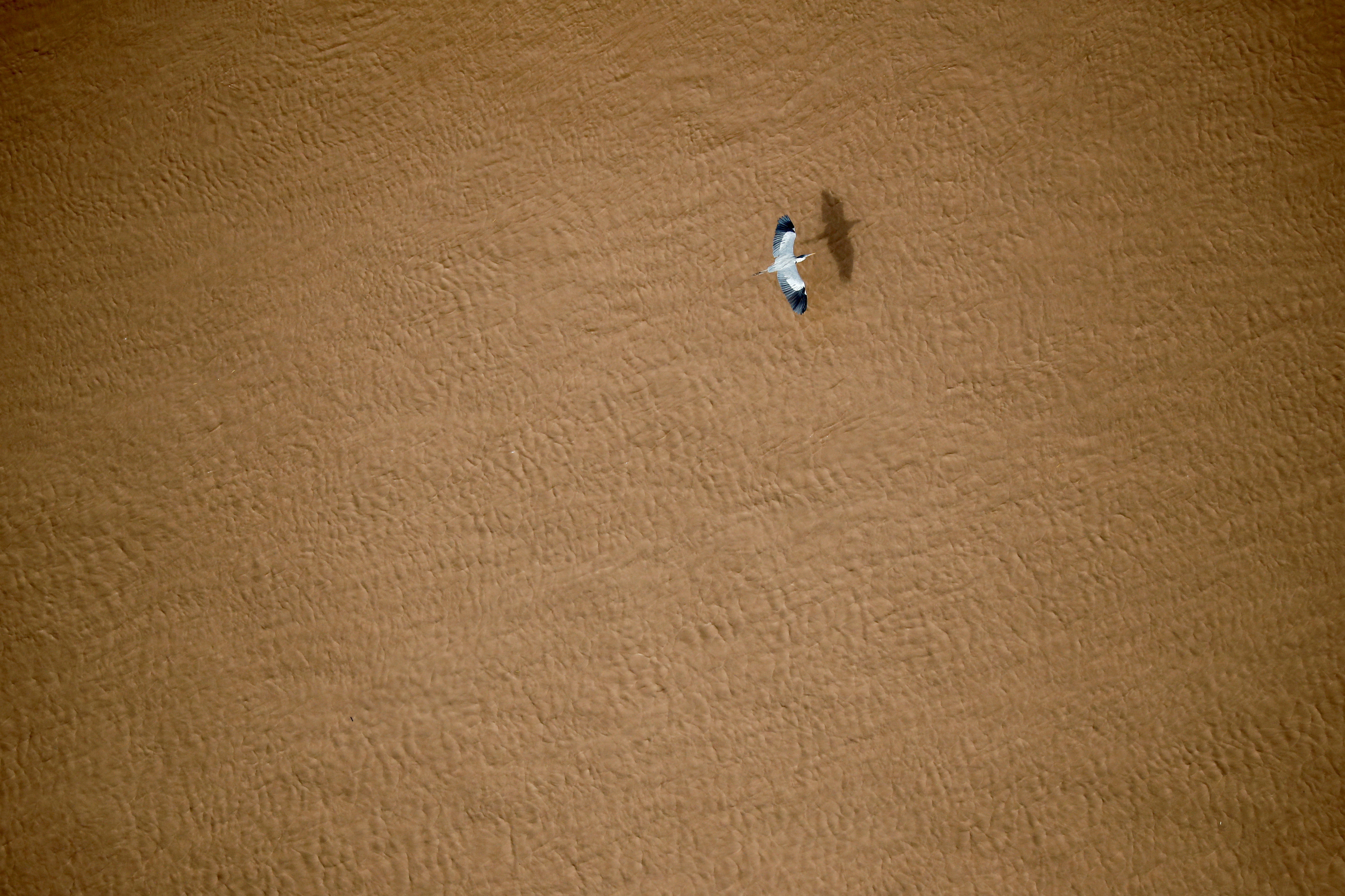 In remote Chaco in South America, deforestation disrupts natural rhythms