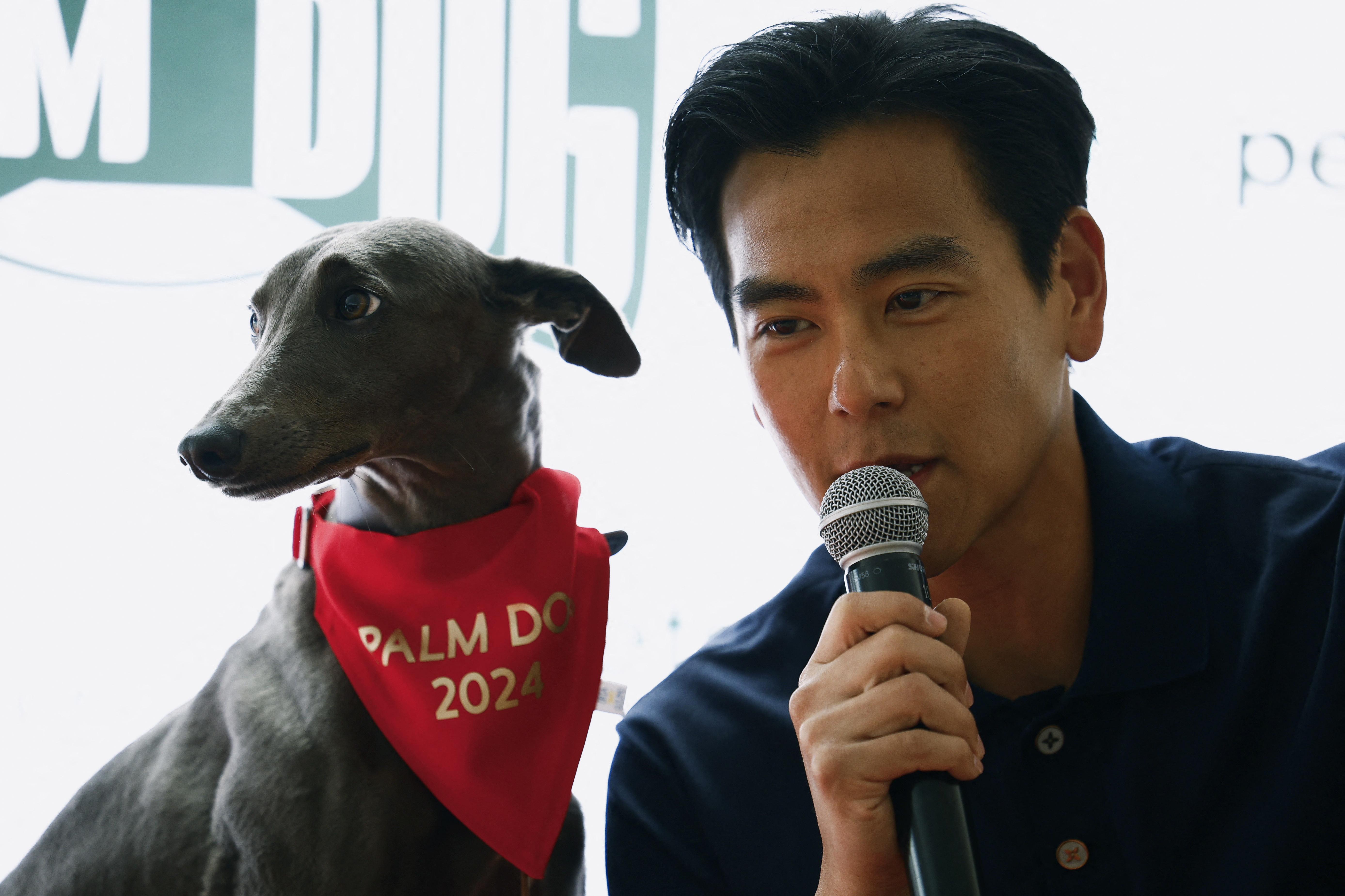 The 77th Cannes Film Festival - The Palm Dog Award