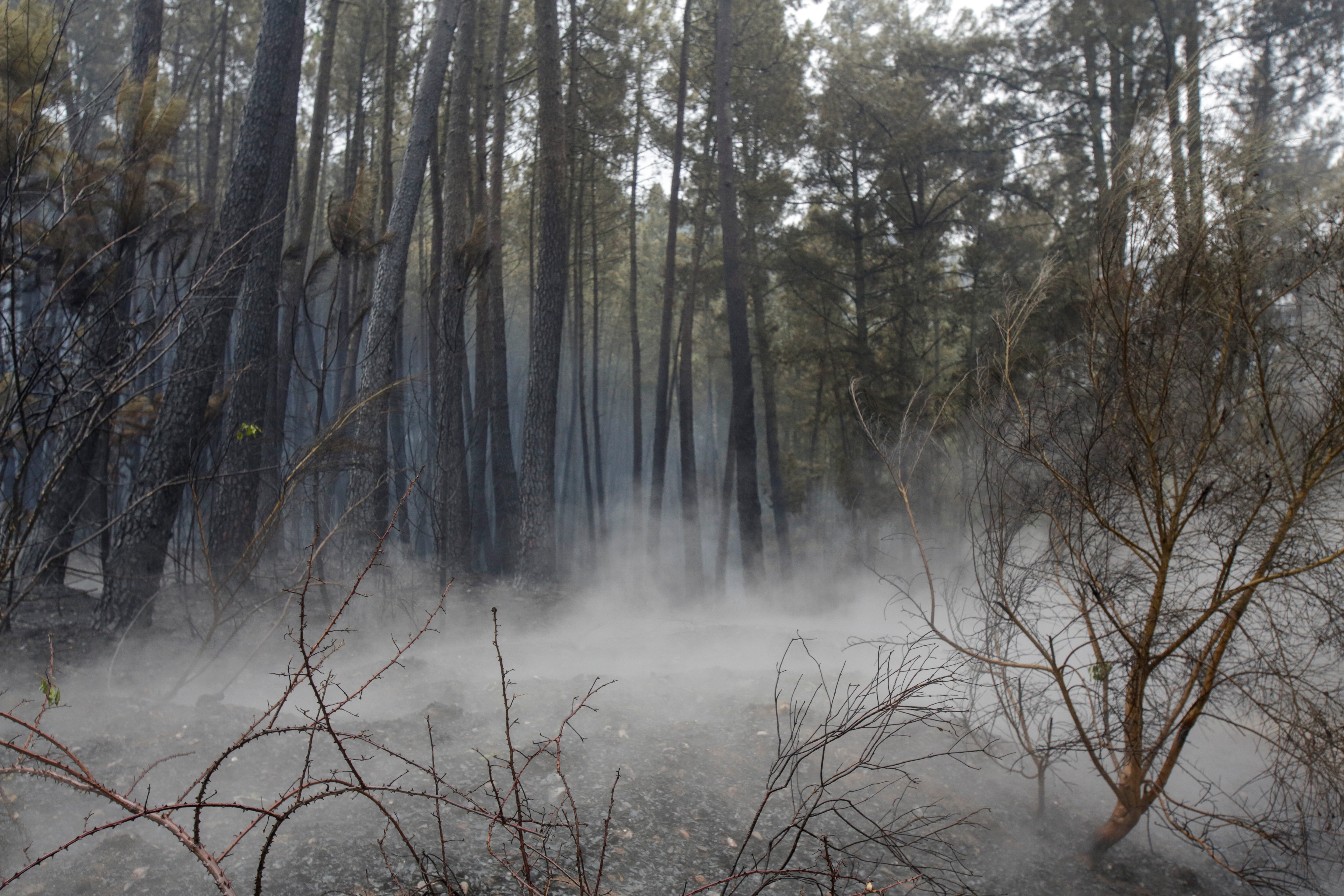 The era of 'mega forest fires' has begun in Spain. Is climate change to  blame?