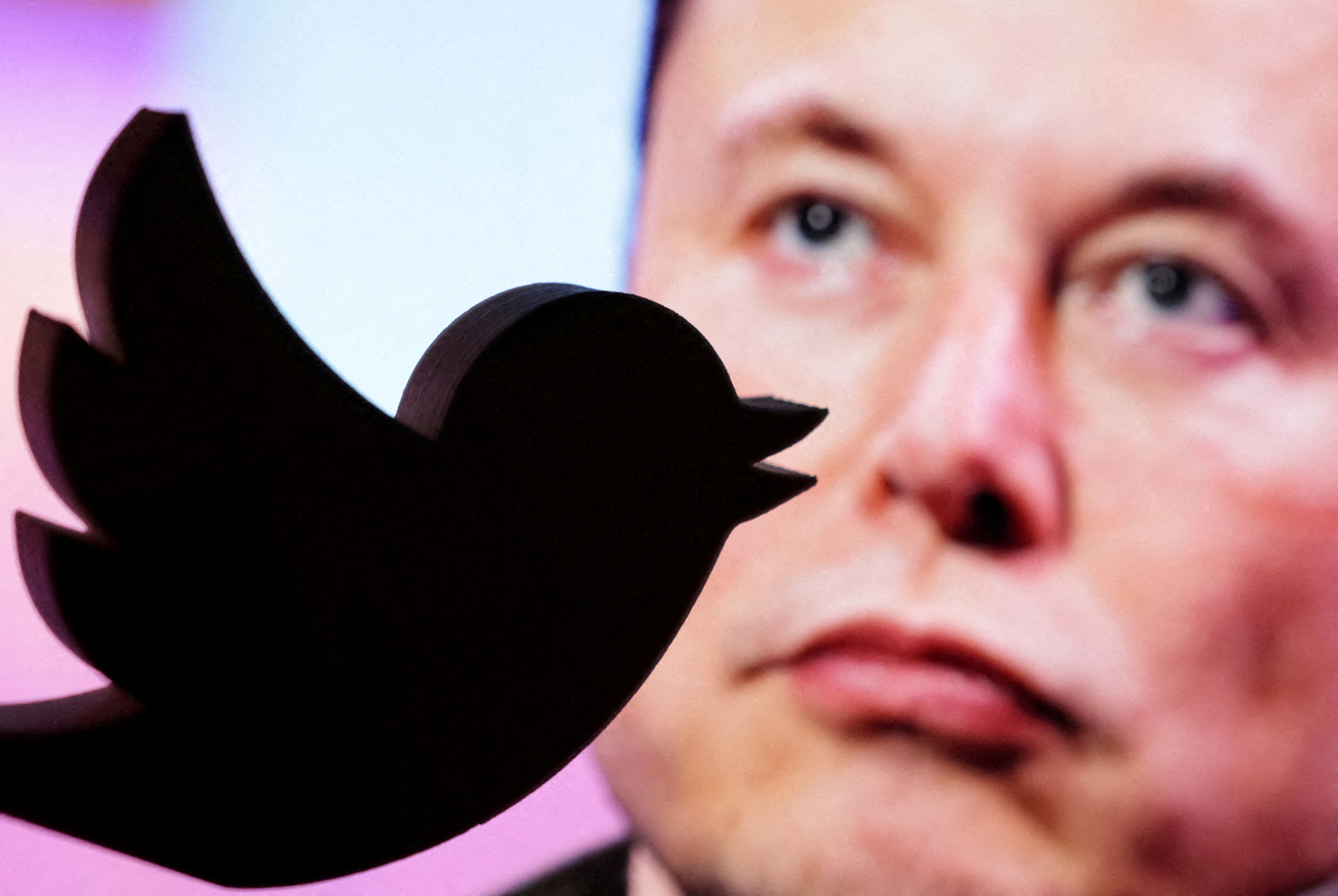 La ilustración muestra la foto de Elon Musk y el logo de Twitter.