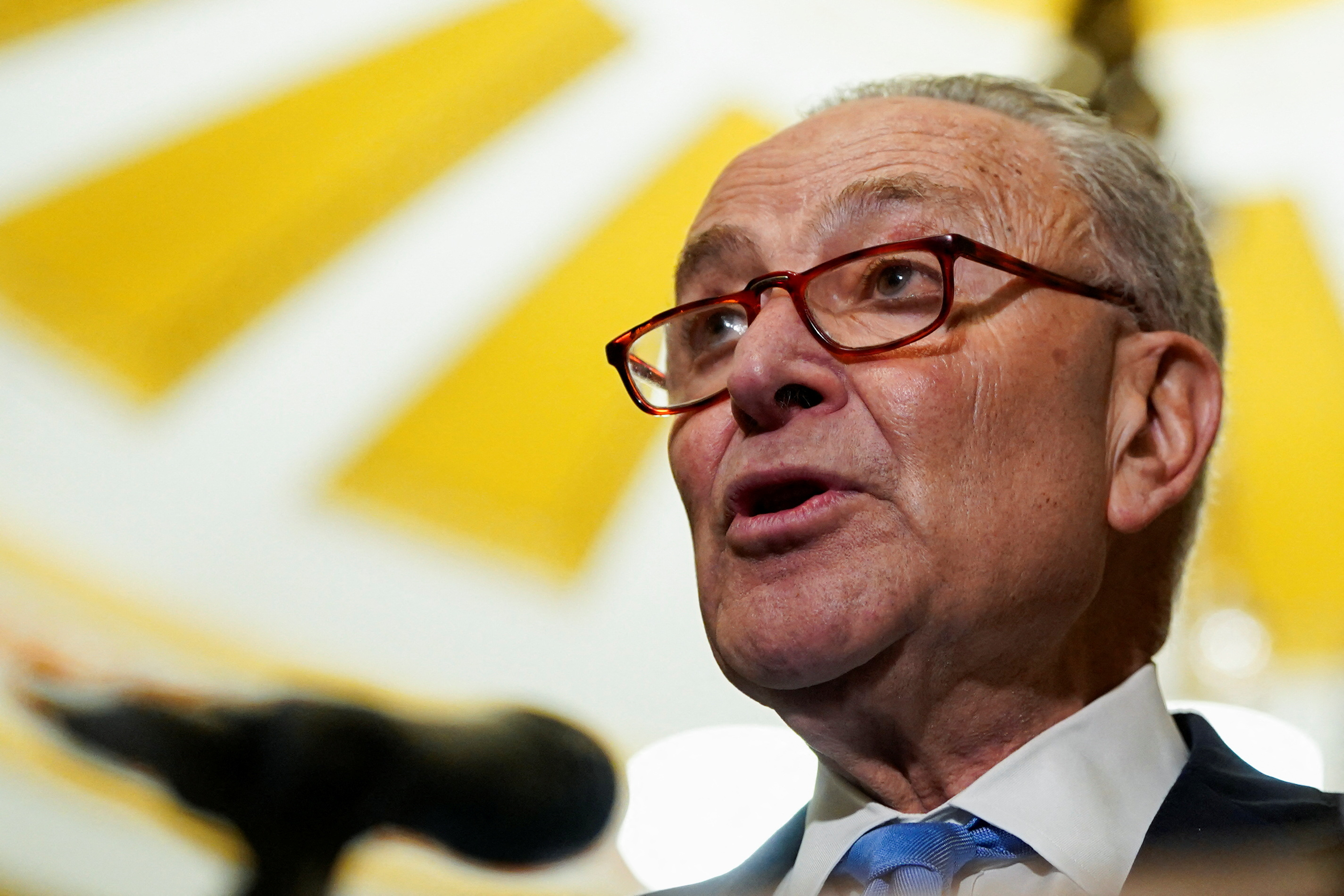 US Senate Republican calls top Democrat Chuck Schumer 'Führer' | Reuters