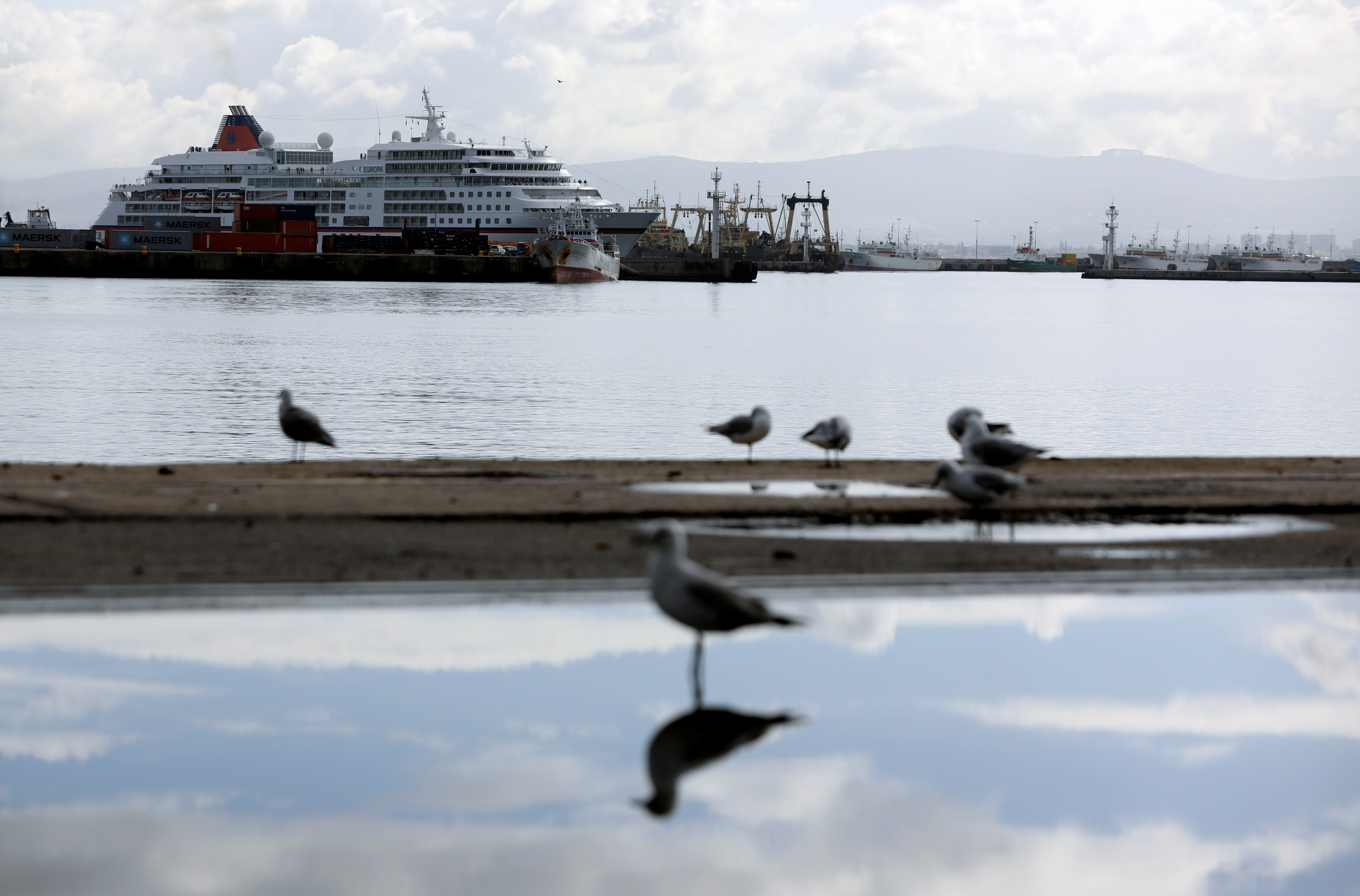 Gulls are seen as the Europa passenger liner arrives to South African waters, as the new coronavirus variant Omicron spreads, in Cape Town, South Africa, November 30, 2021. REUTERS/Shelley Christians