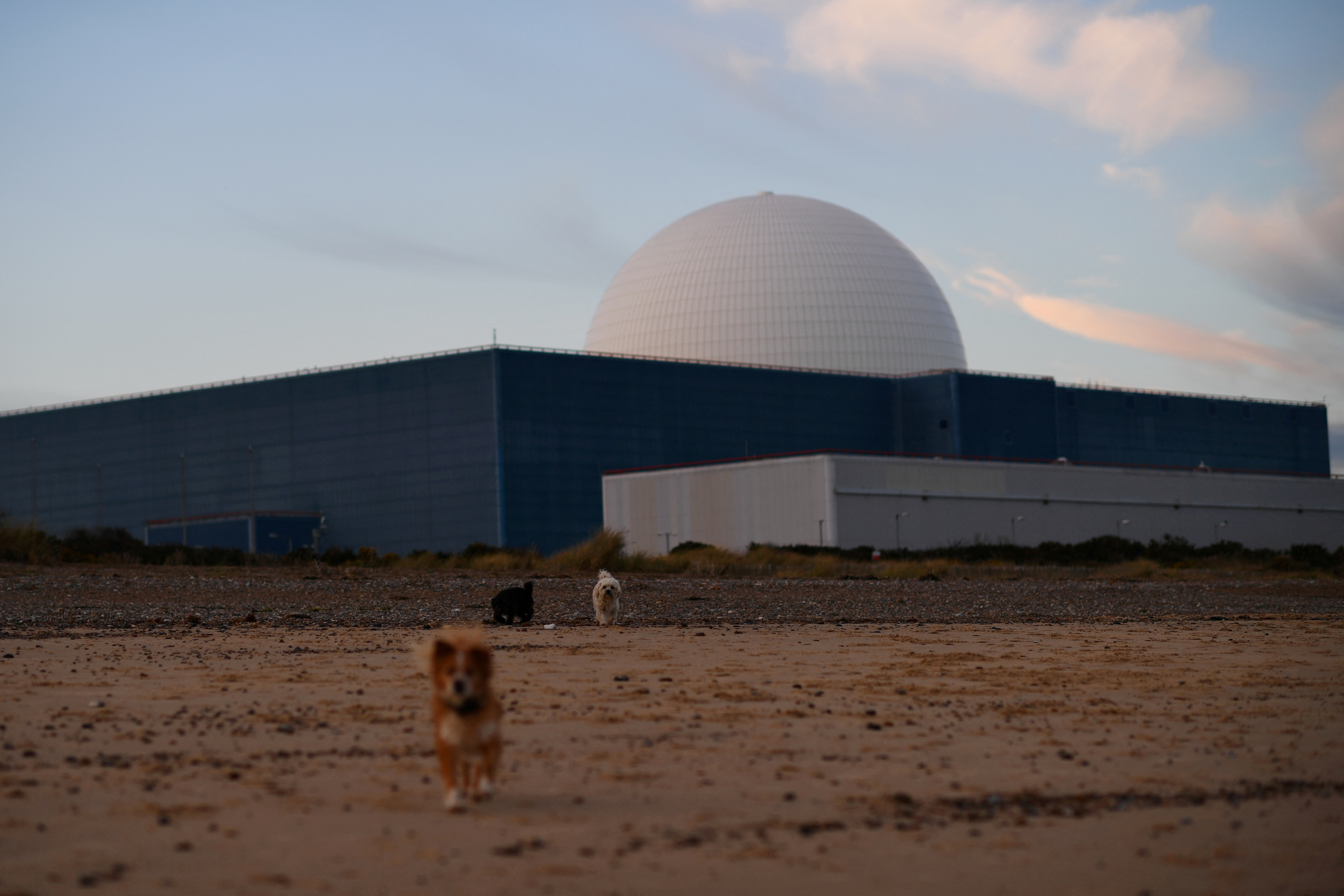 Dogs walk on the beach near Sizewell Nuclear Power Station as the sun sets on Sizewell in Suffolk, Britain