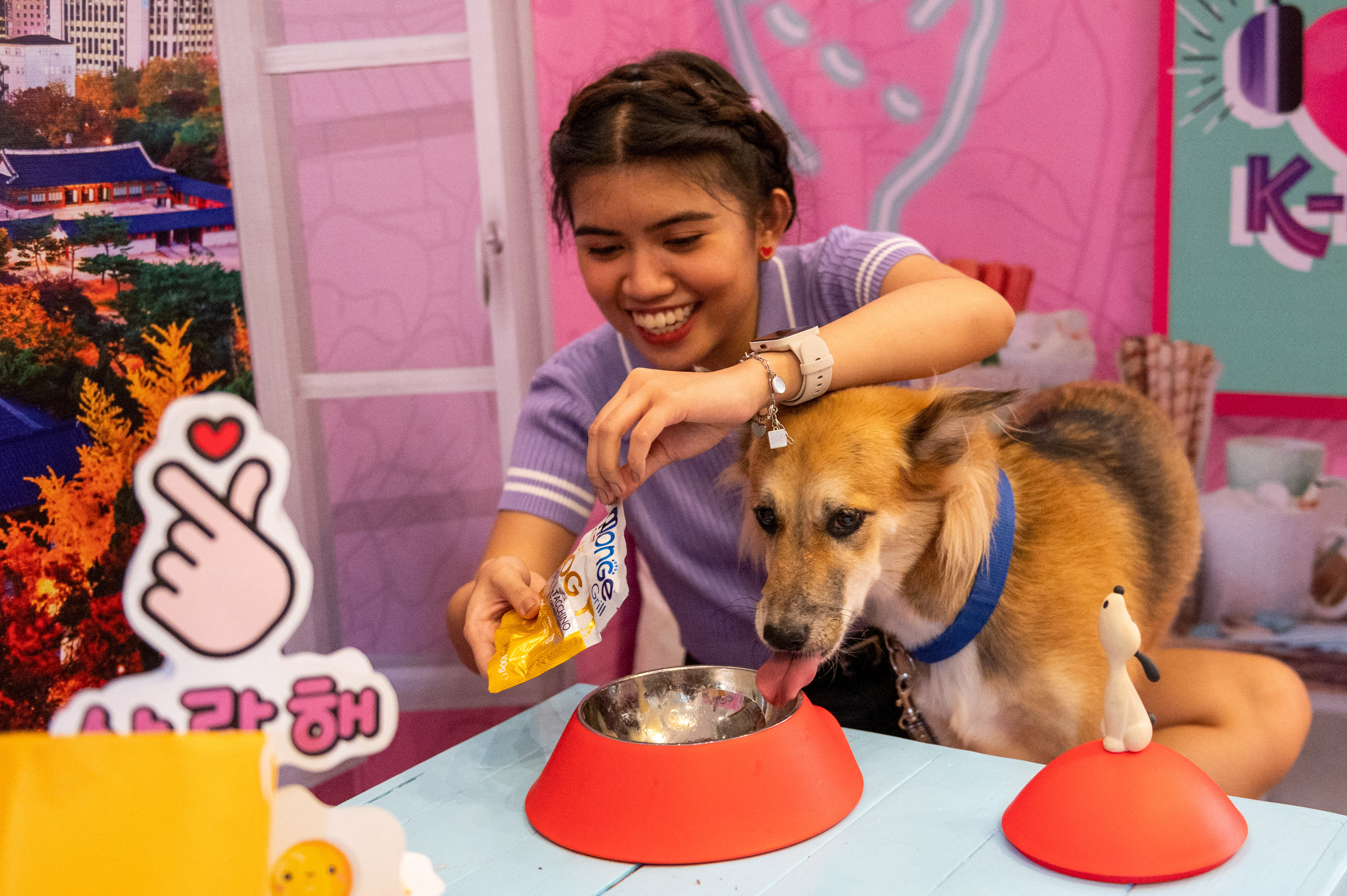 Within the Philippines, animal lovers e-book Valentine’s dates with shelter canines