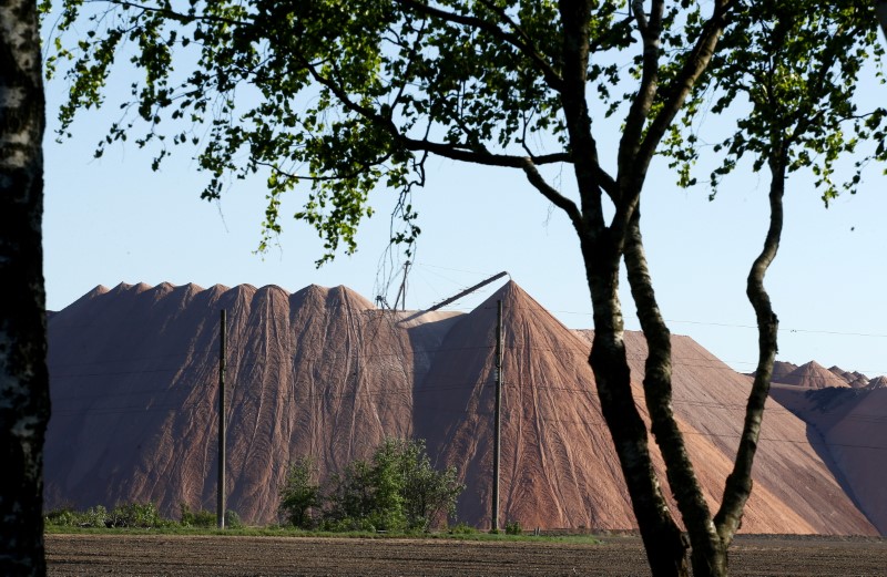 A waste heap is seen at a site owned by Belarus state potash producer Belaruskali near the village of Zakalnoye