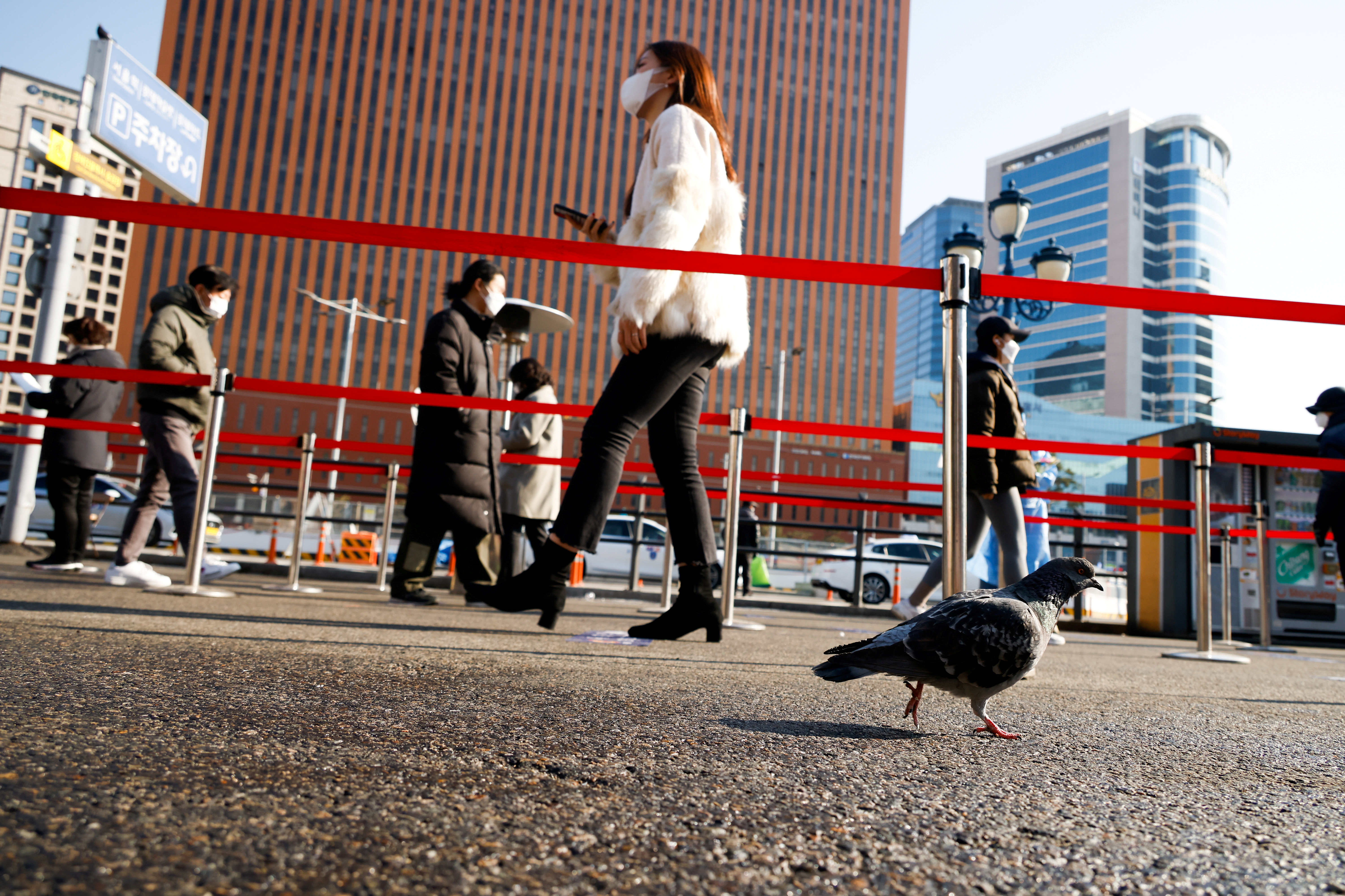 A pigeon walks past people who wait in a line to undergo coronavirus disease (COVID-19) tests at a coronavirus testing site which is temporarily set up in front of a railway station in Seoul