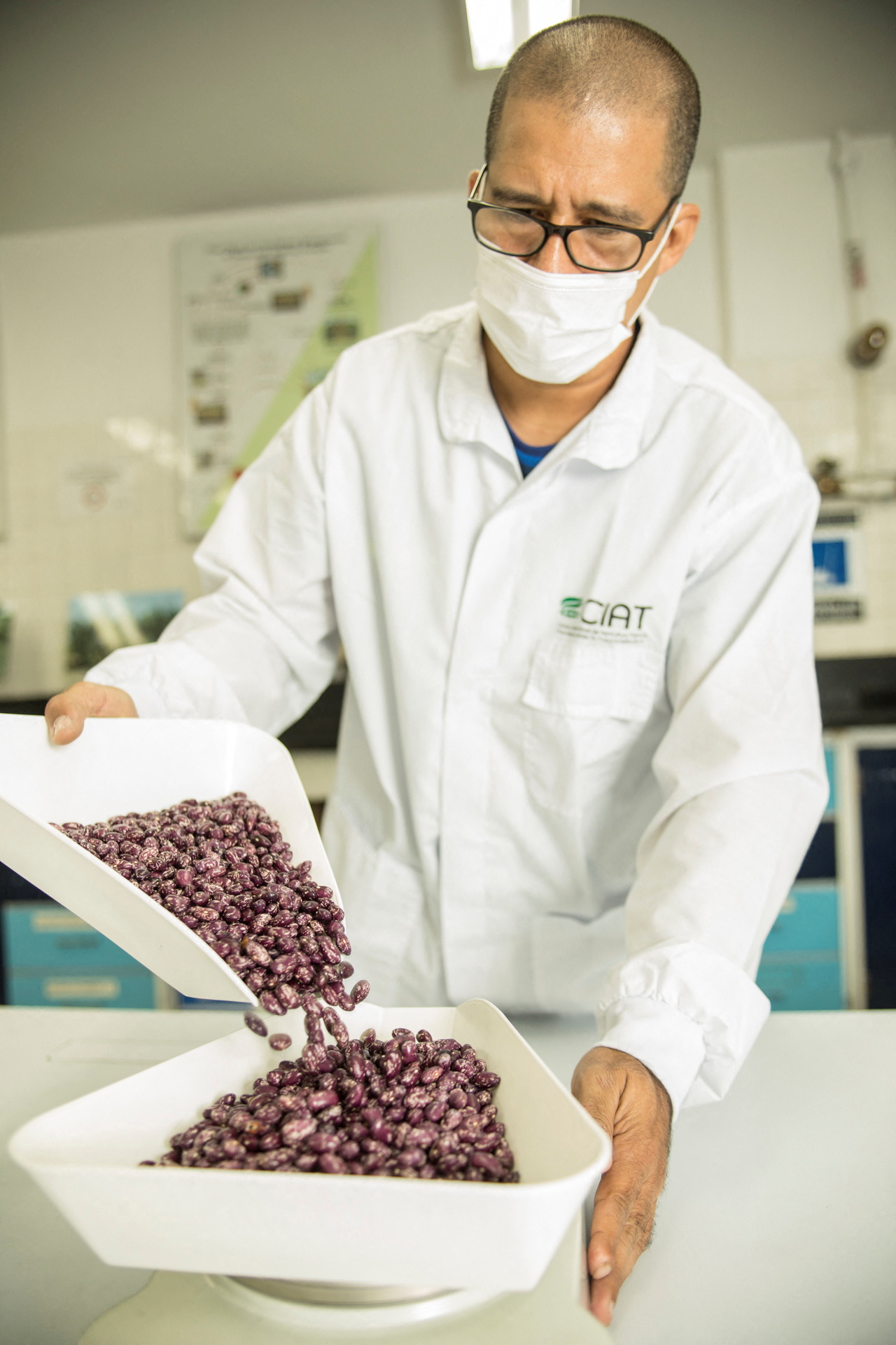 A researcher organizes seeds at the Future Seeds gene bank in Palmira