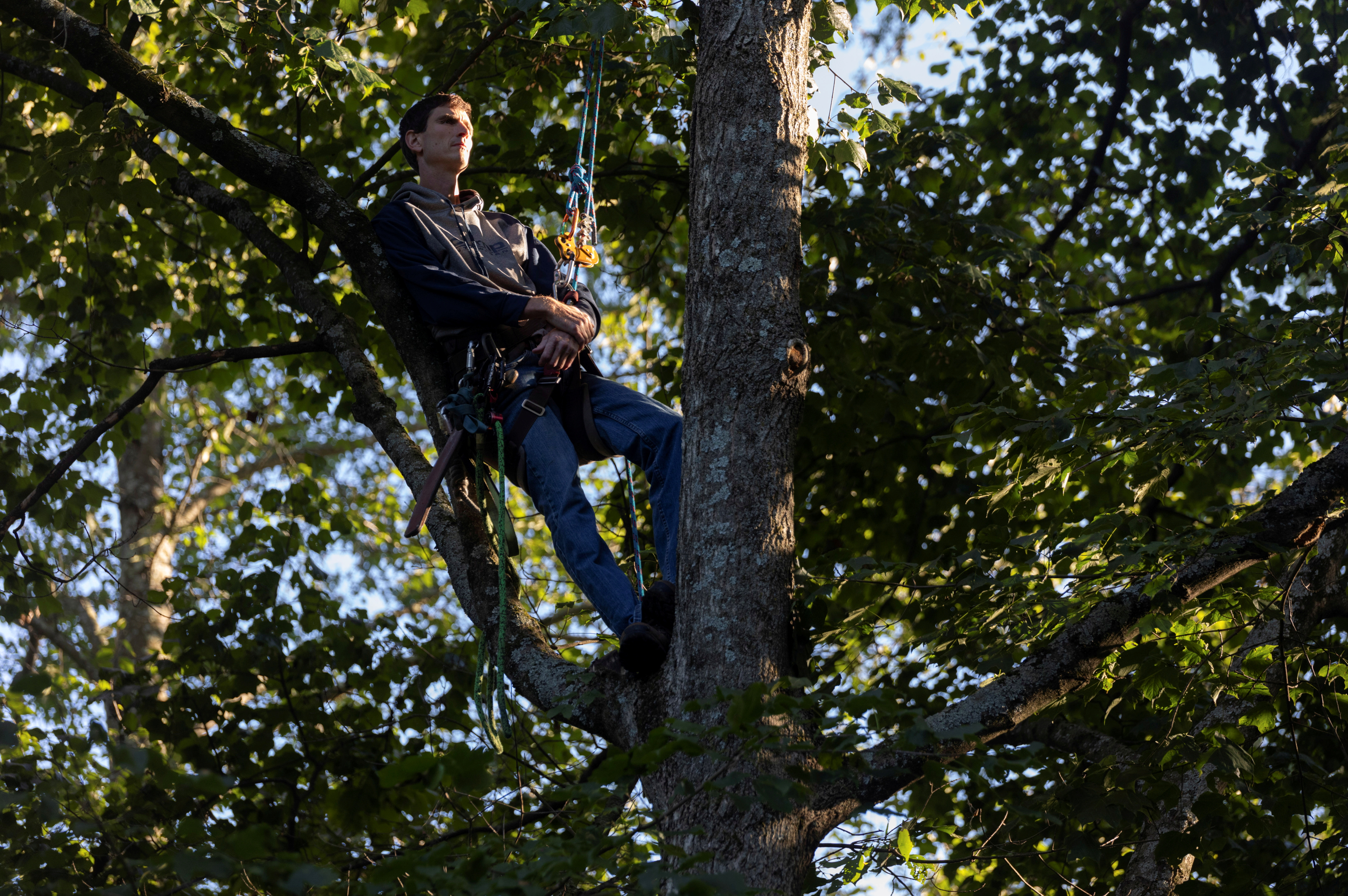 Arborist Ben Haupt poses for a portrait in his tree climbing gear at his home in Spring Mills, Pennsylvania. REUTERS/Hannah Beier  
