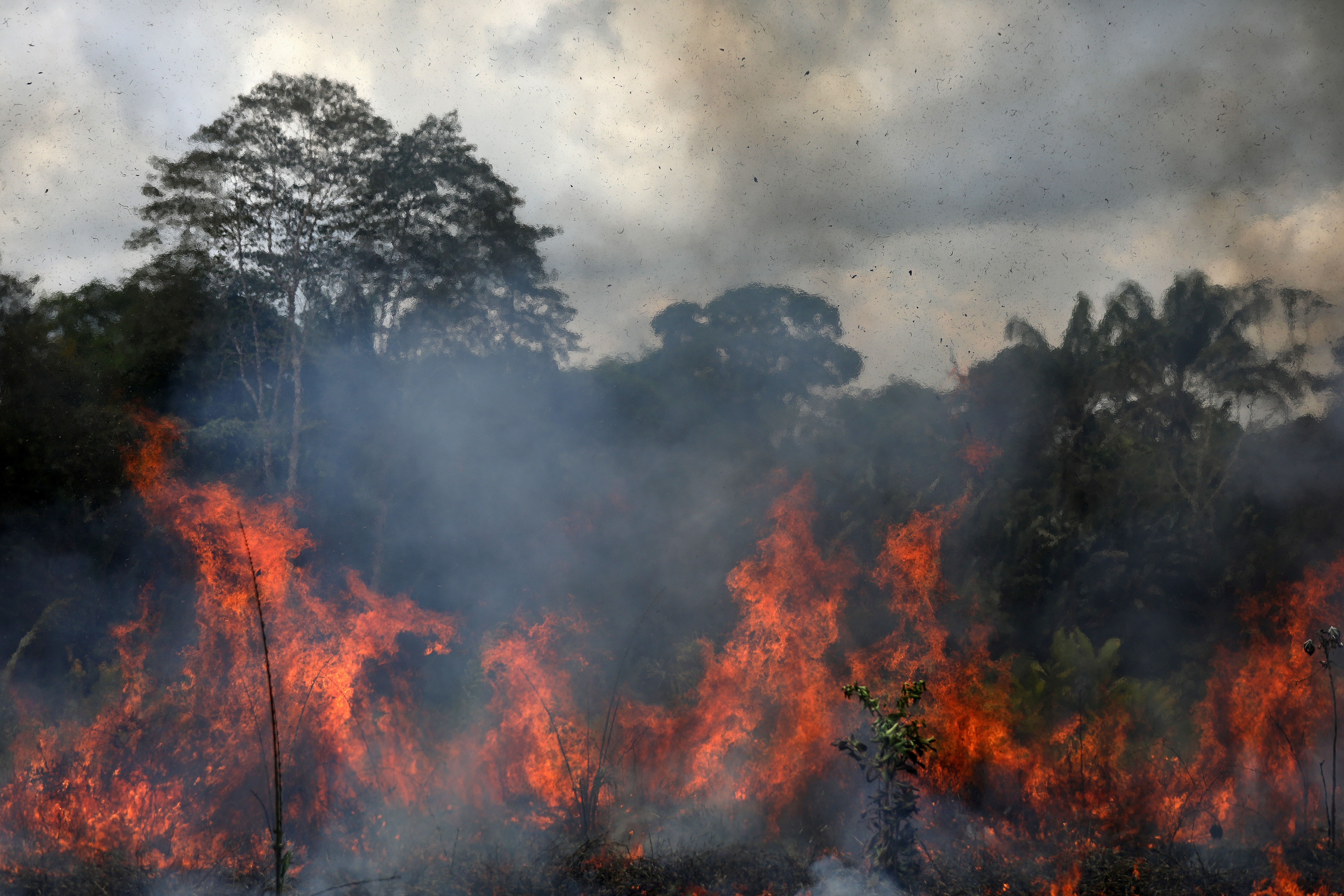 Fires surge in Brazilian Amazon for third straight year in August in Labrea
